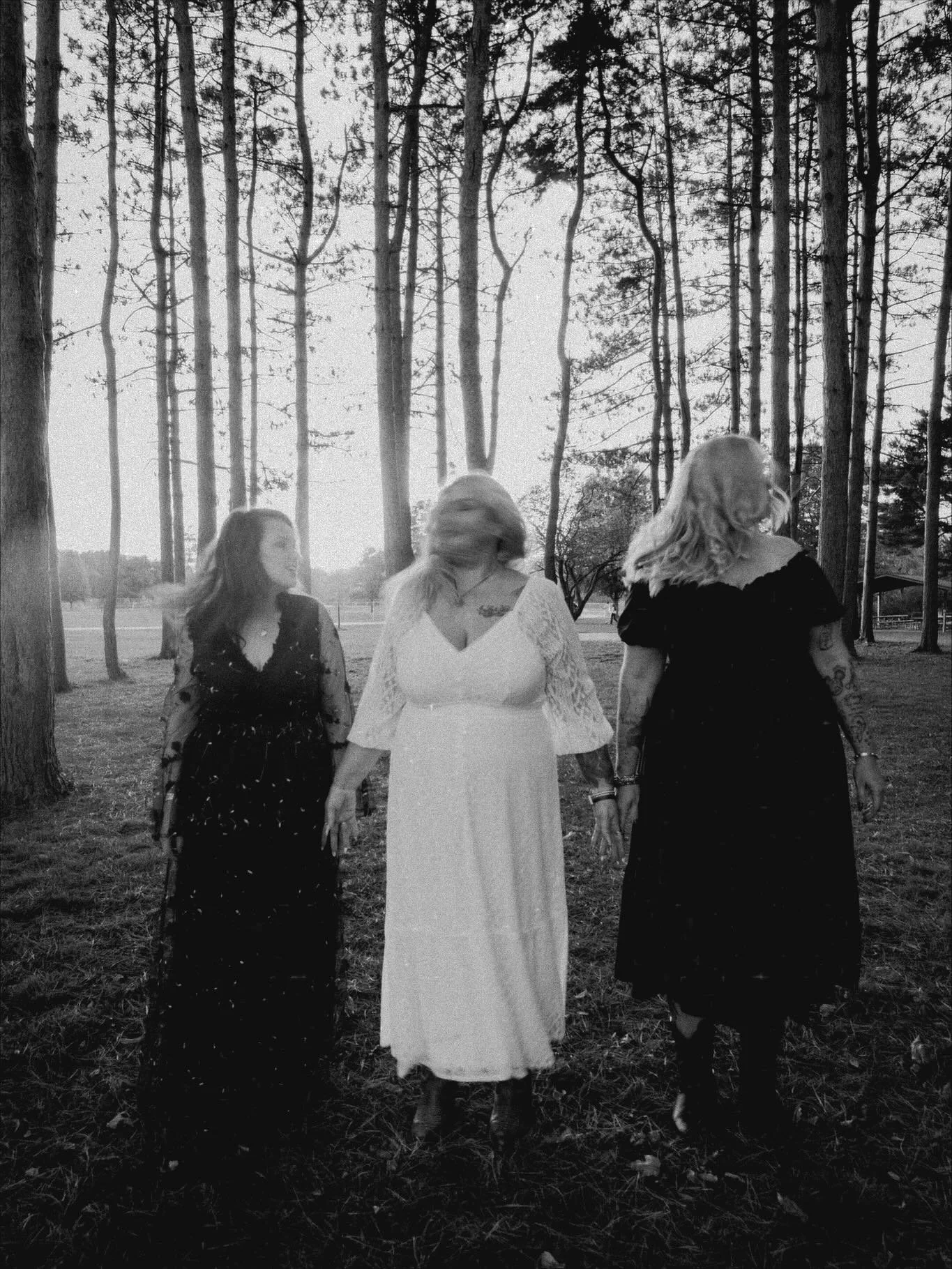 Three women wearing black and white dresses walking through a forest of tall trees at sunset.