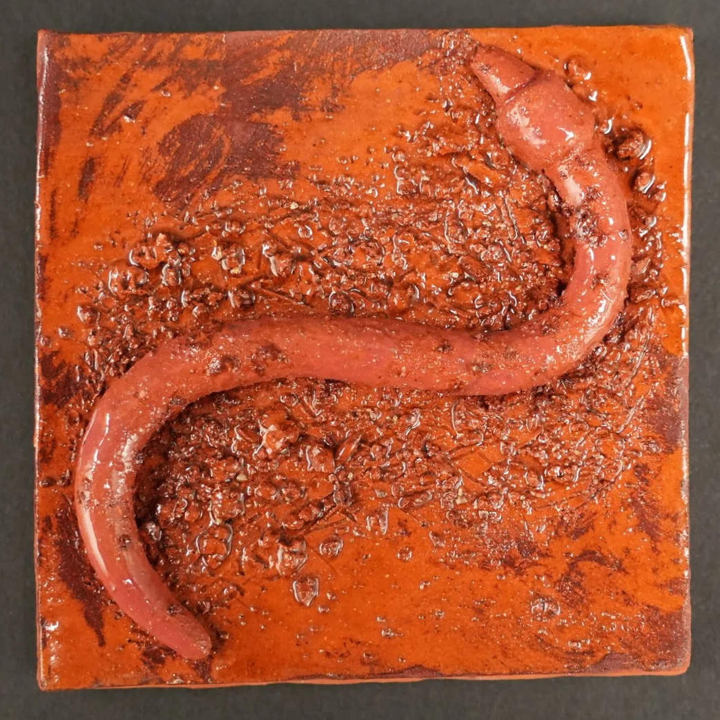 Worm Tile  -  
2025  -  
Ceramic  -  
4 in x 4 in