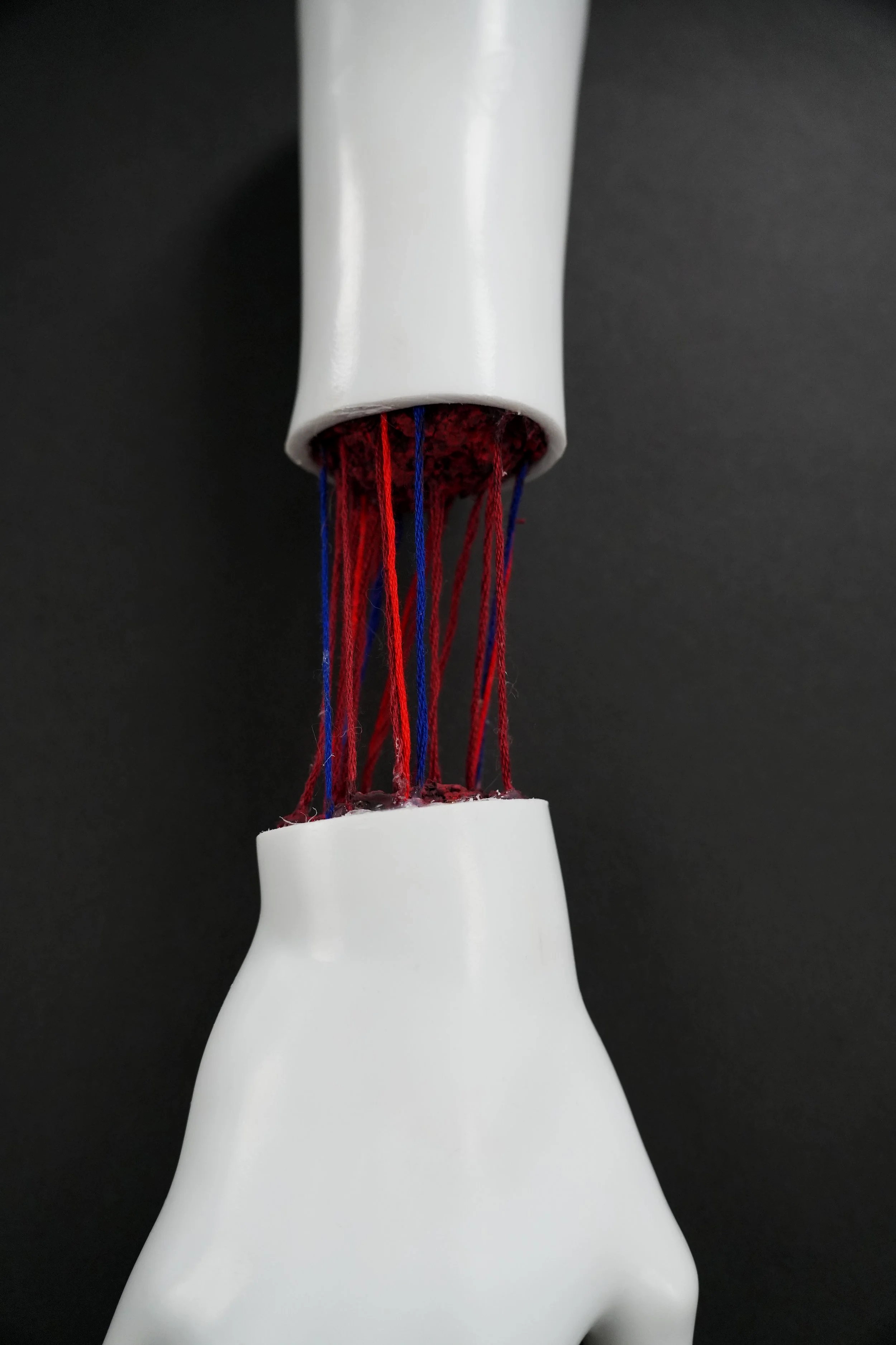 Detached  -  
2024  -  
Mannequin hand, thread, storiform, acrylic paint, wire  -  
17 1/2 in x 5 in