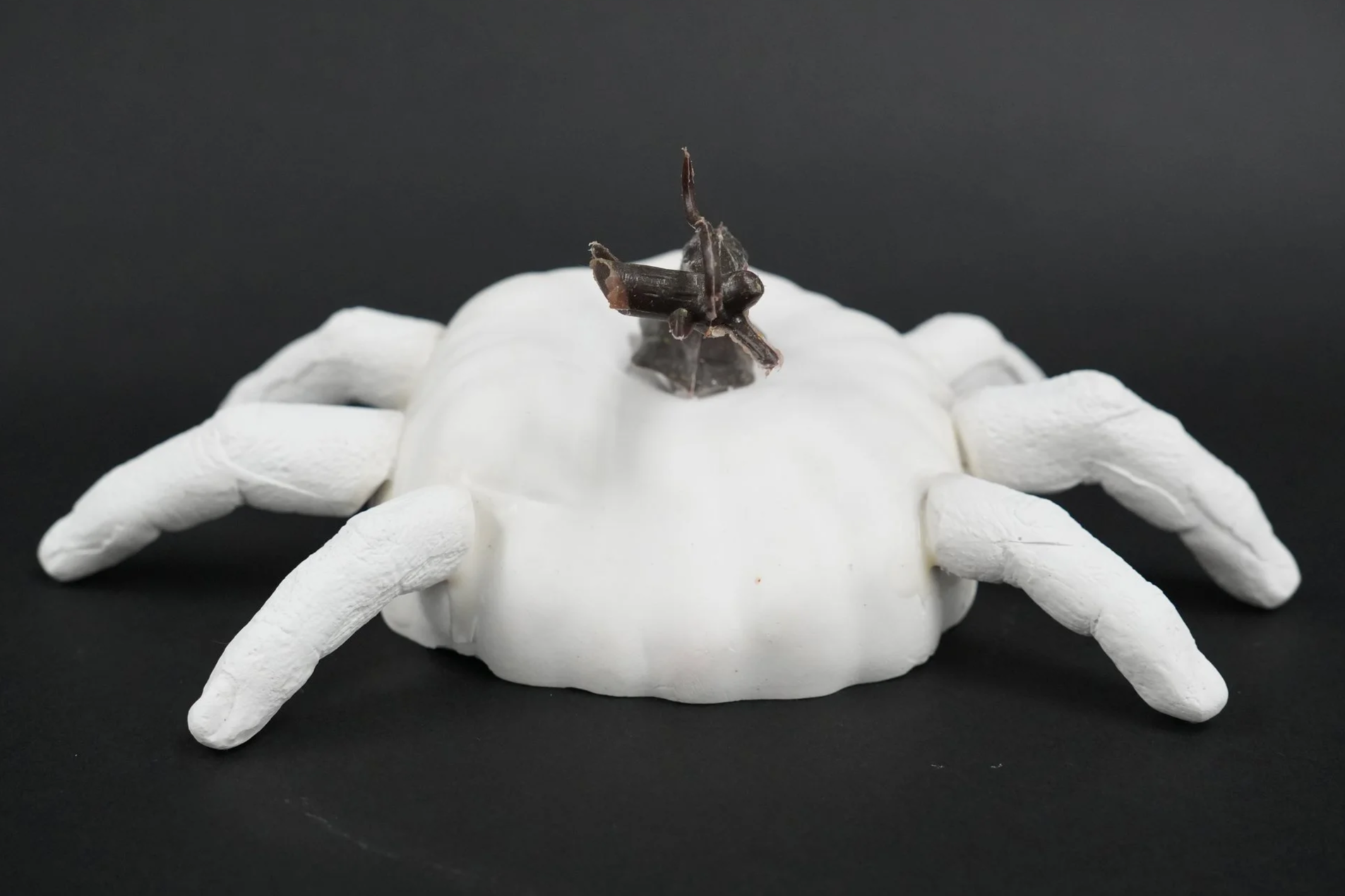 Fingers  -  
2025  -  
Plaster, Glue, Plastic  -  
9 in x 7 1/2 x 4 in