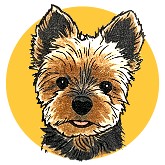 Bentley&#x27;s Golden Paws Project