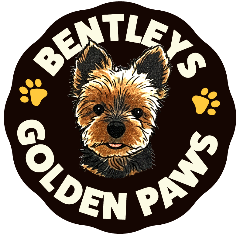 Bentleys Golden Paws Project