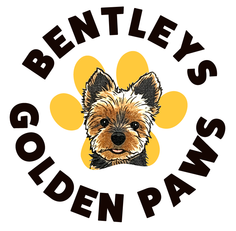 Bentleys Golden Paws Project
