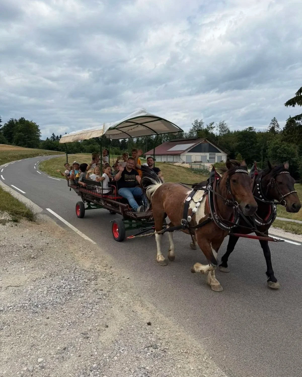 Akademija ŠAPA - vadba za otroke in programi za odrasle - nogomet, gibanje, plavanje, osebno trenerstvo, hujšanje, učenje plavanja, vadba za seniorje oz. starejše - Ivančna Gorica, Višnja Gora, Šentvid pri Stični, Zagradec, Veliki Gaber, Ljubljana