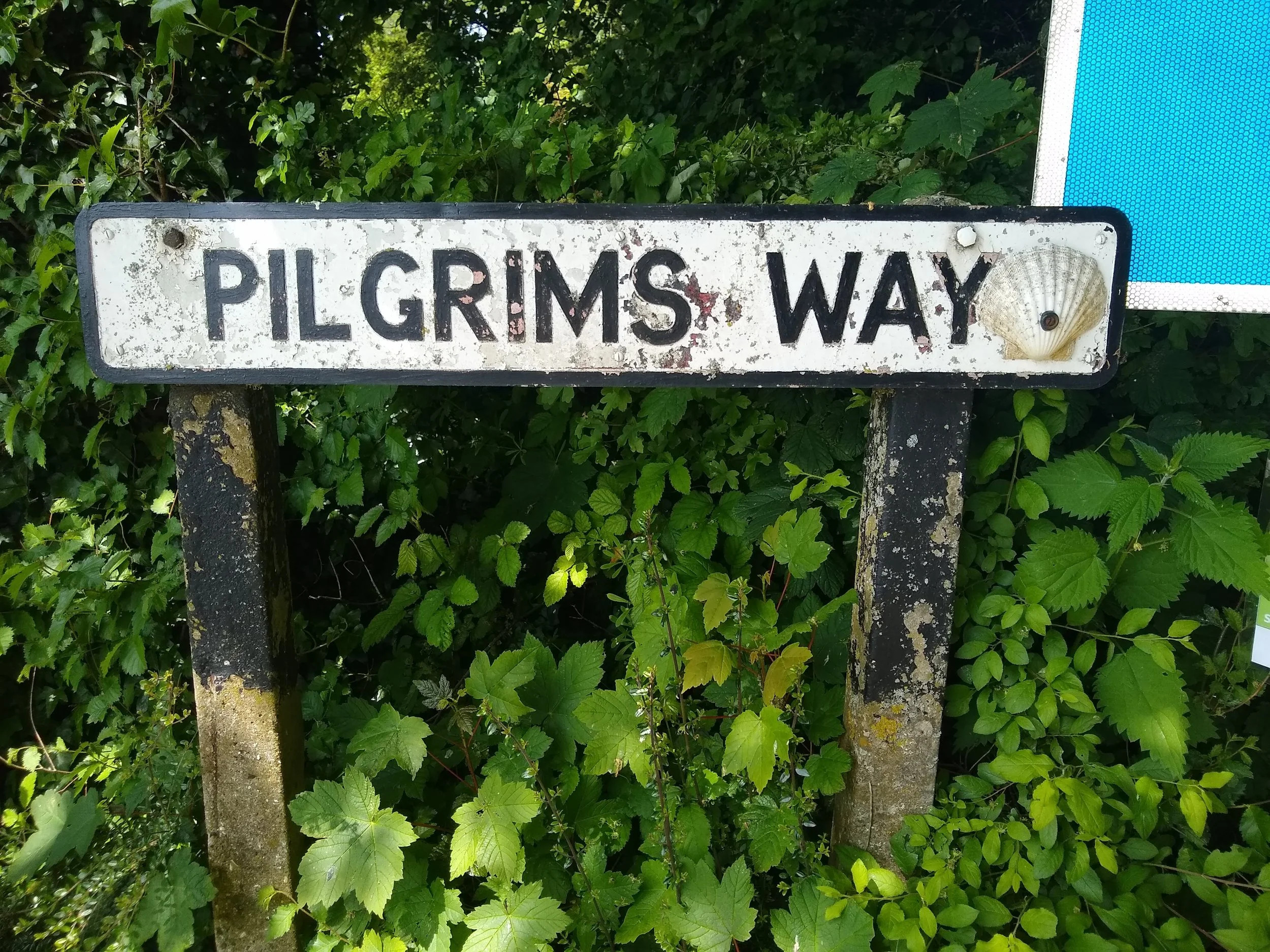 Musical Pilgrimage on the Augustine Camino