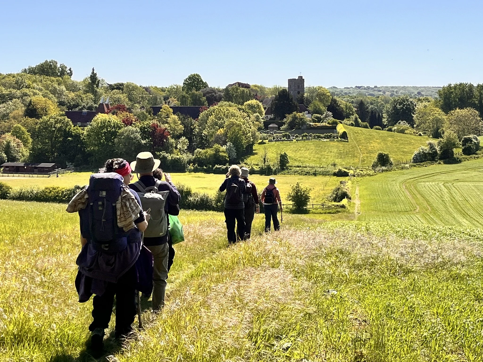 Musical Pilgrimage on the Augustine Camino
