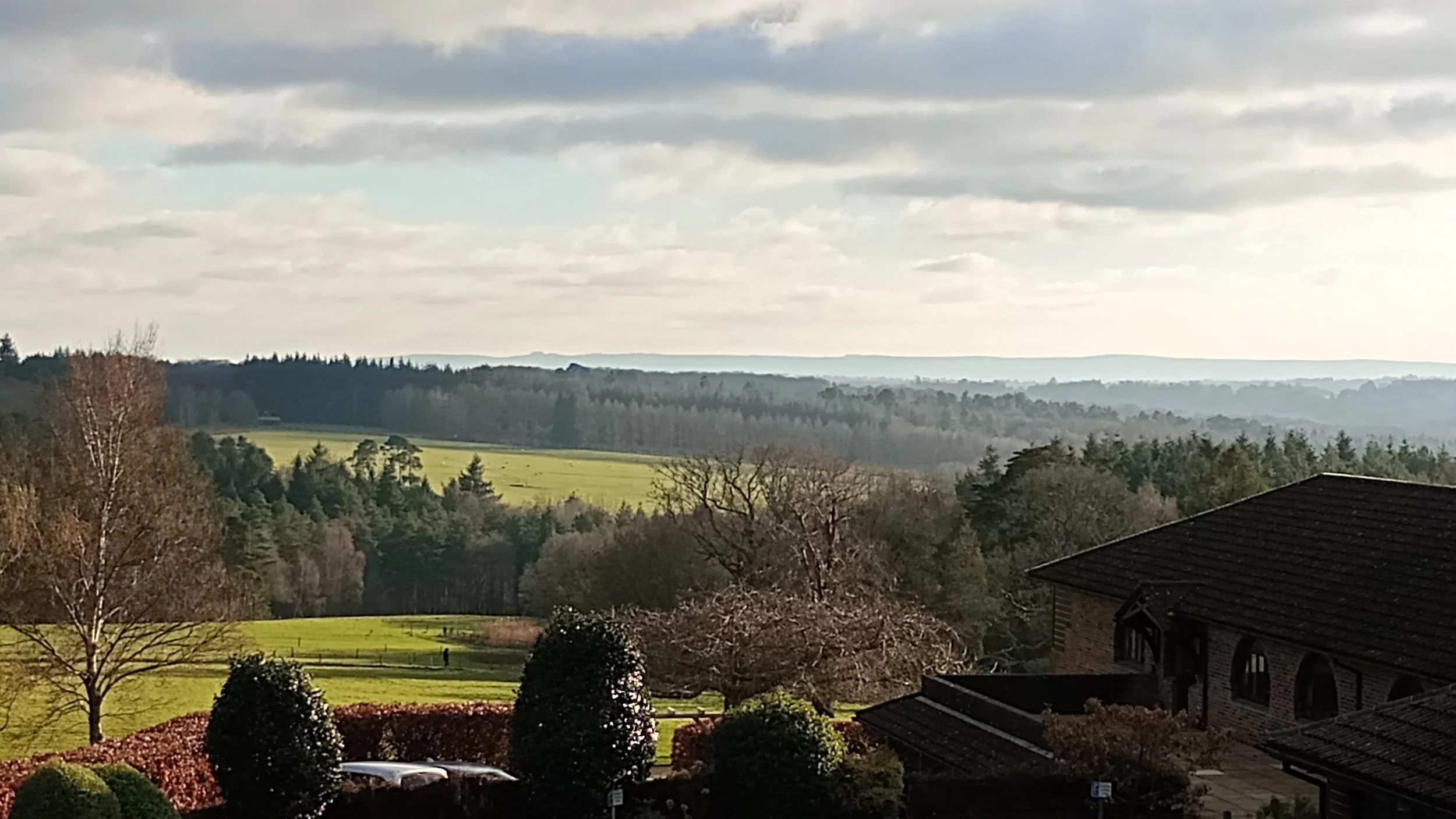 Finding Stillness and Renewal in a Busy World