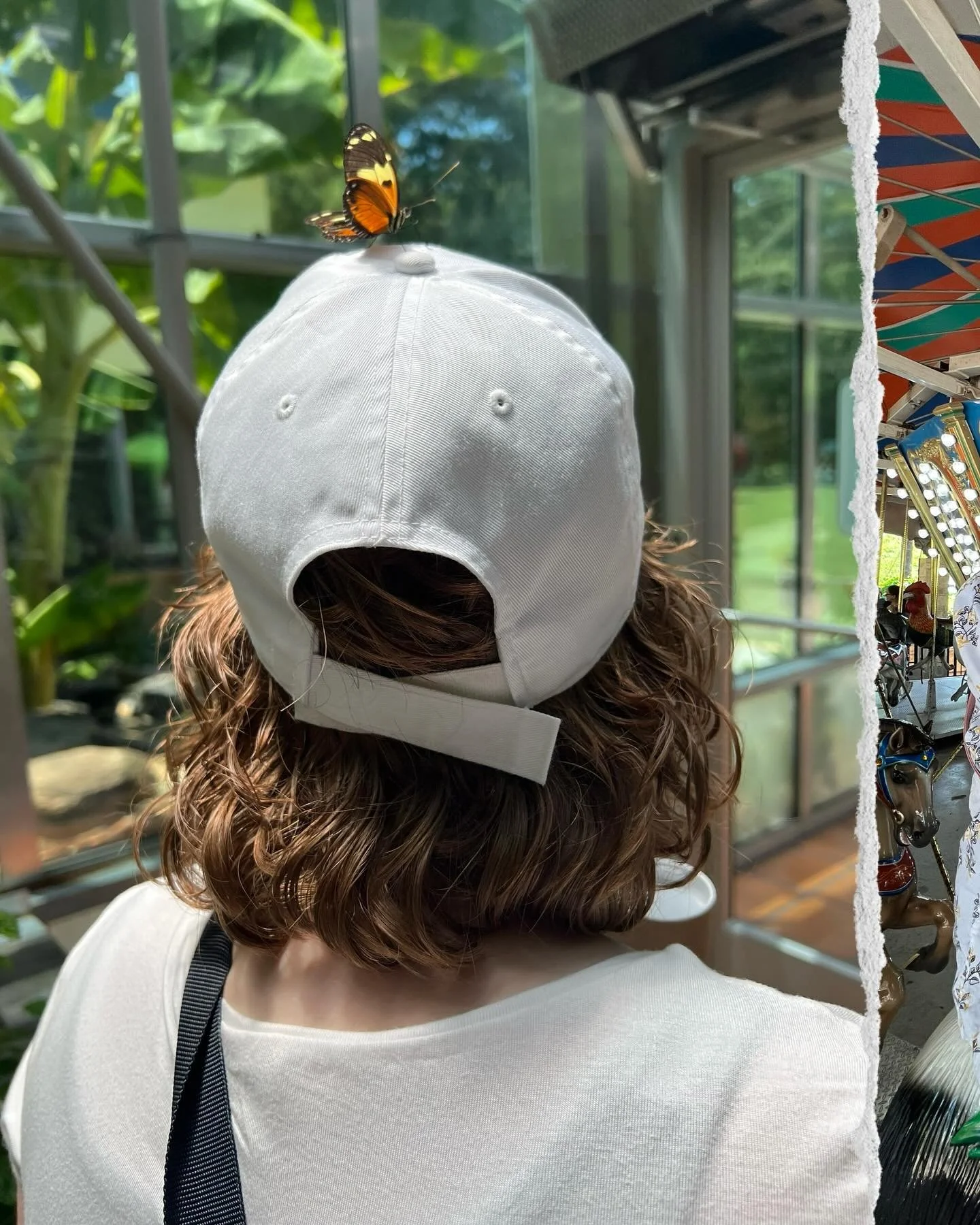 🦋a rare and gentle thing🦋