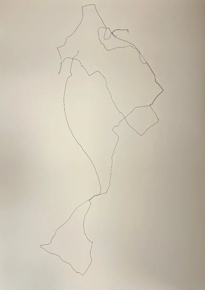 Untitled, pen on paper, 594x420mm, 2025