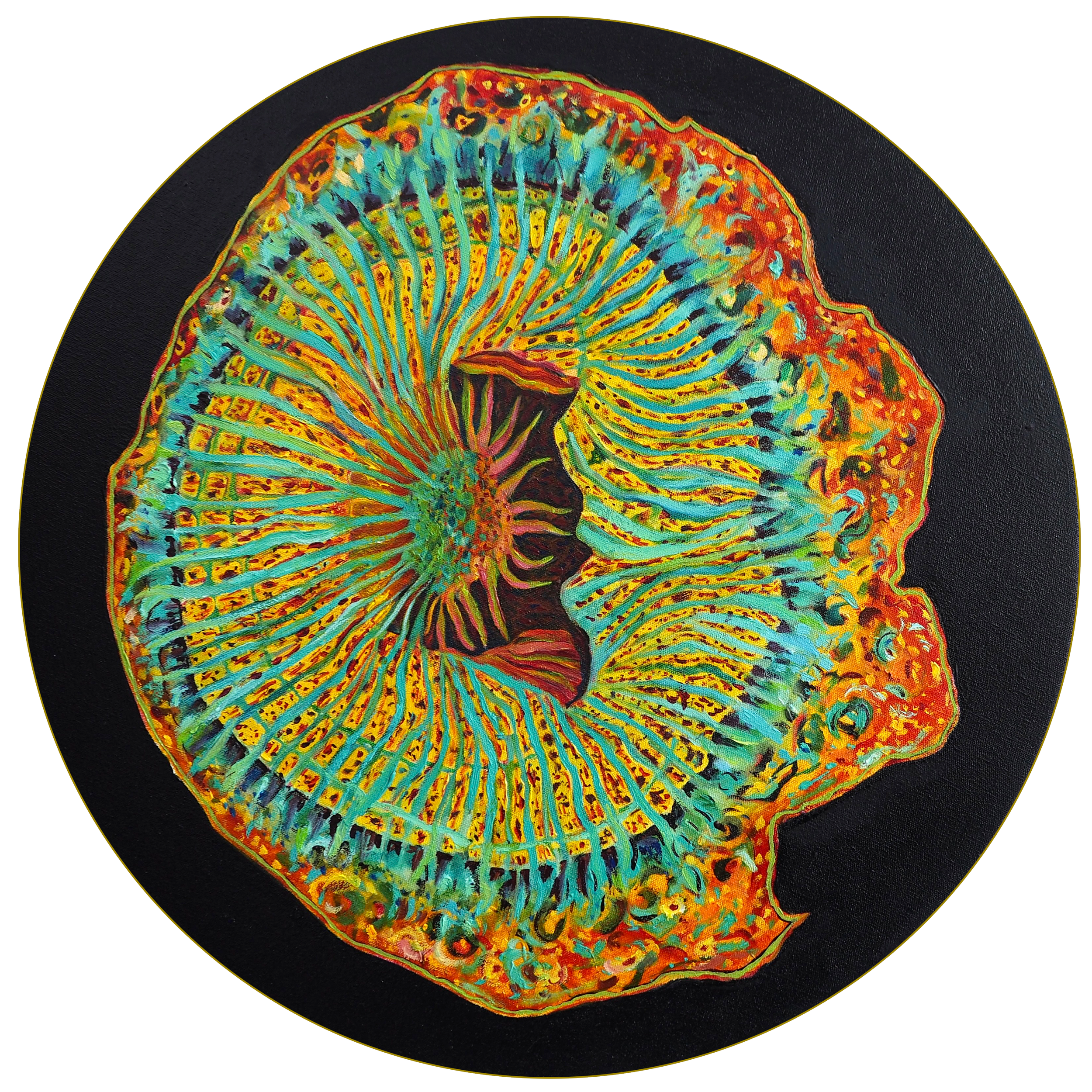 Colorful fractal design resembling a cross-section of a sea creature or coral with glowing orange, yellow, blue, green, black, and pink hues on a black circular background.