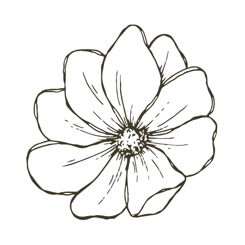 sensitive feminine store hand-drawn flower