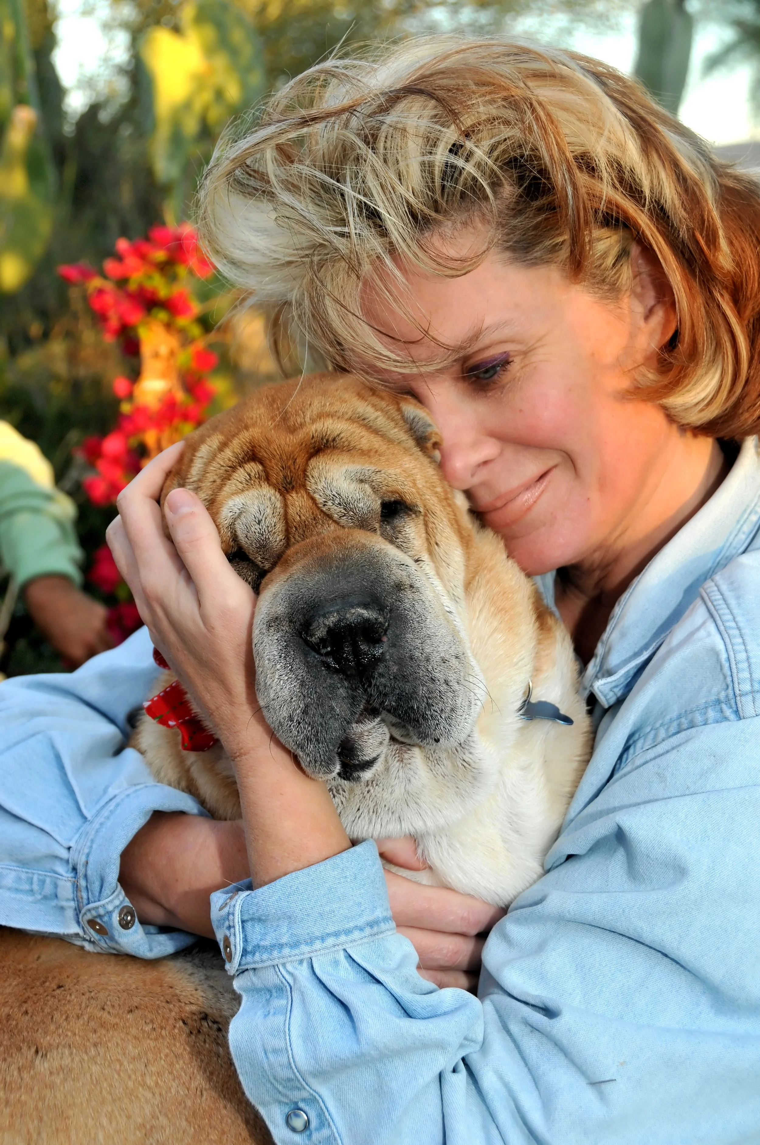 A woman cuddling a large, sleeping dog outdoors with colorful flowers in the background.