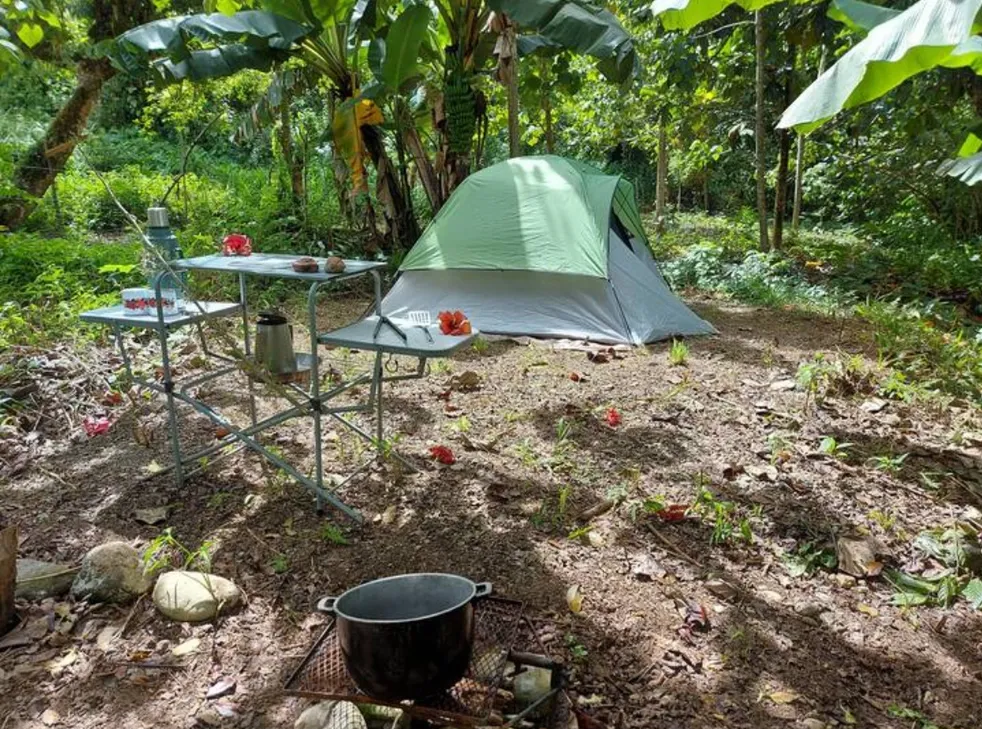 Screenshot 2025-12-10 131322.png