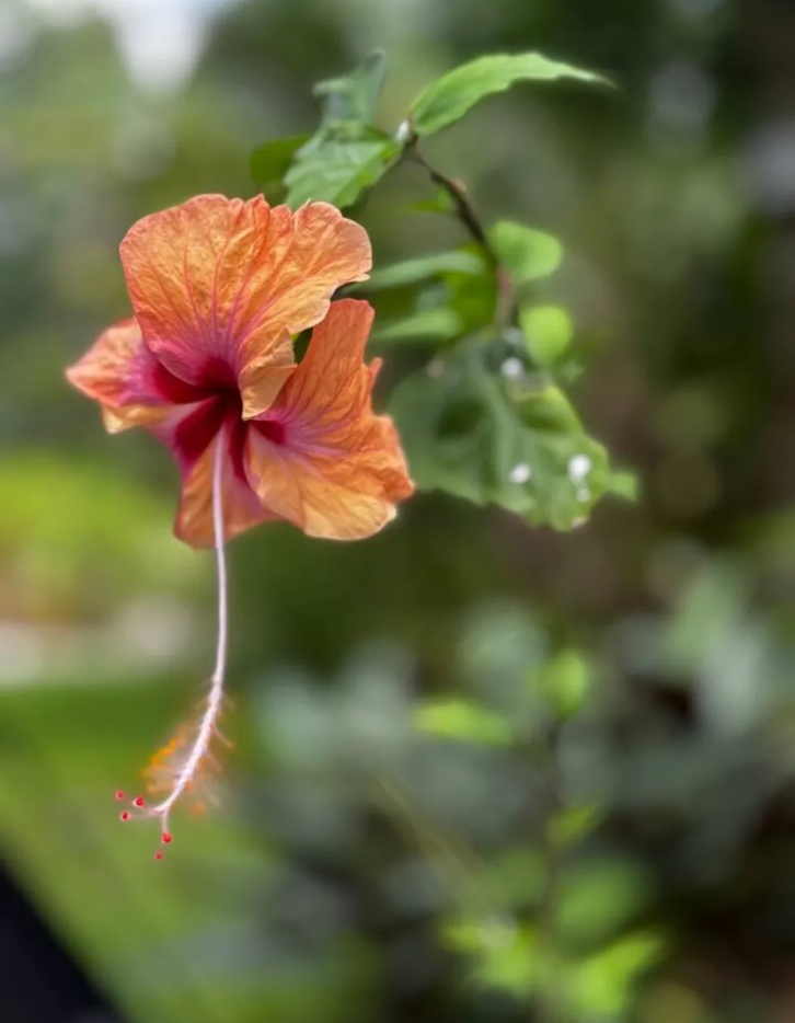 Screenshot 2025-12-10 131254.png