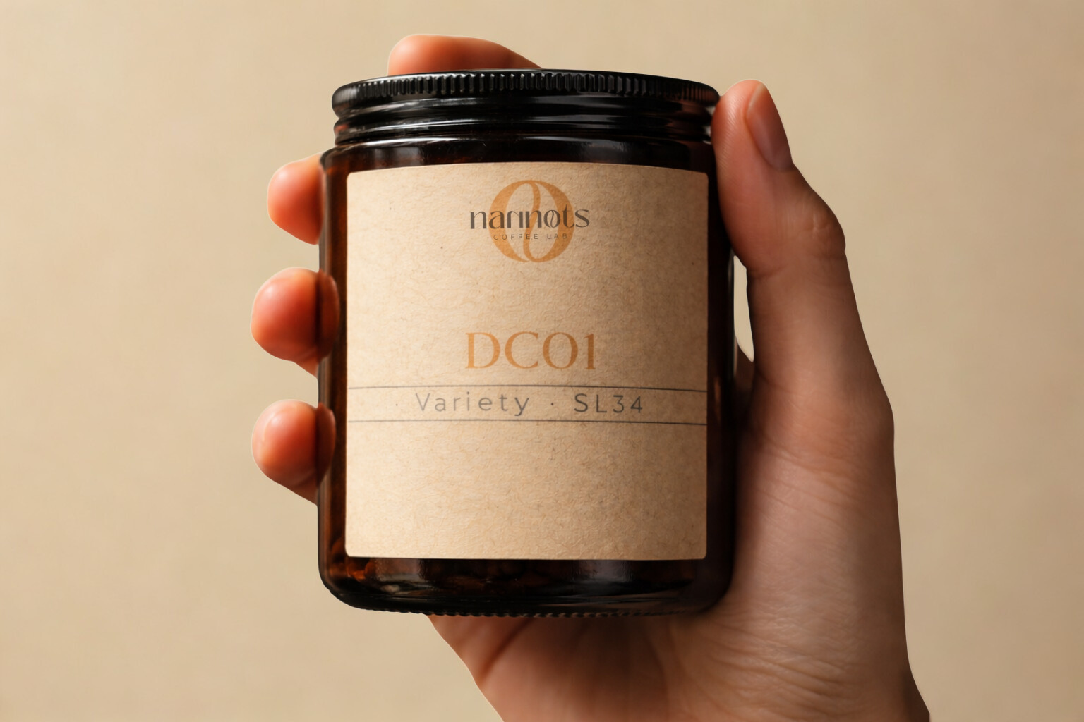 Untitled design (1).png