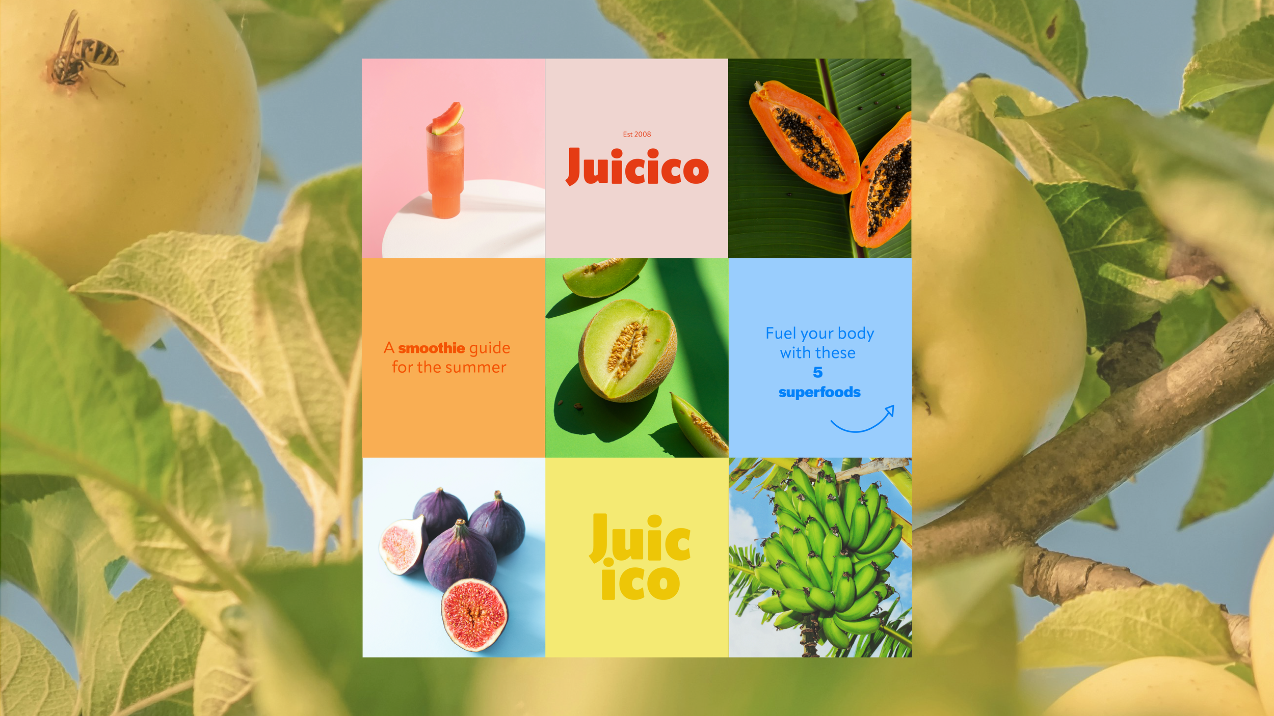 Juicico-nettside-05.png
