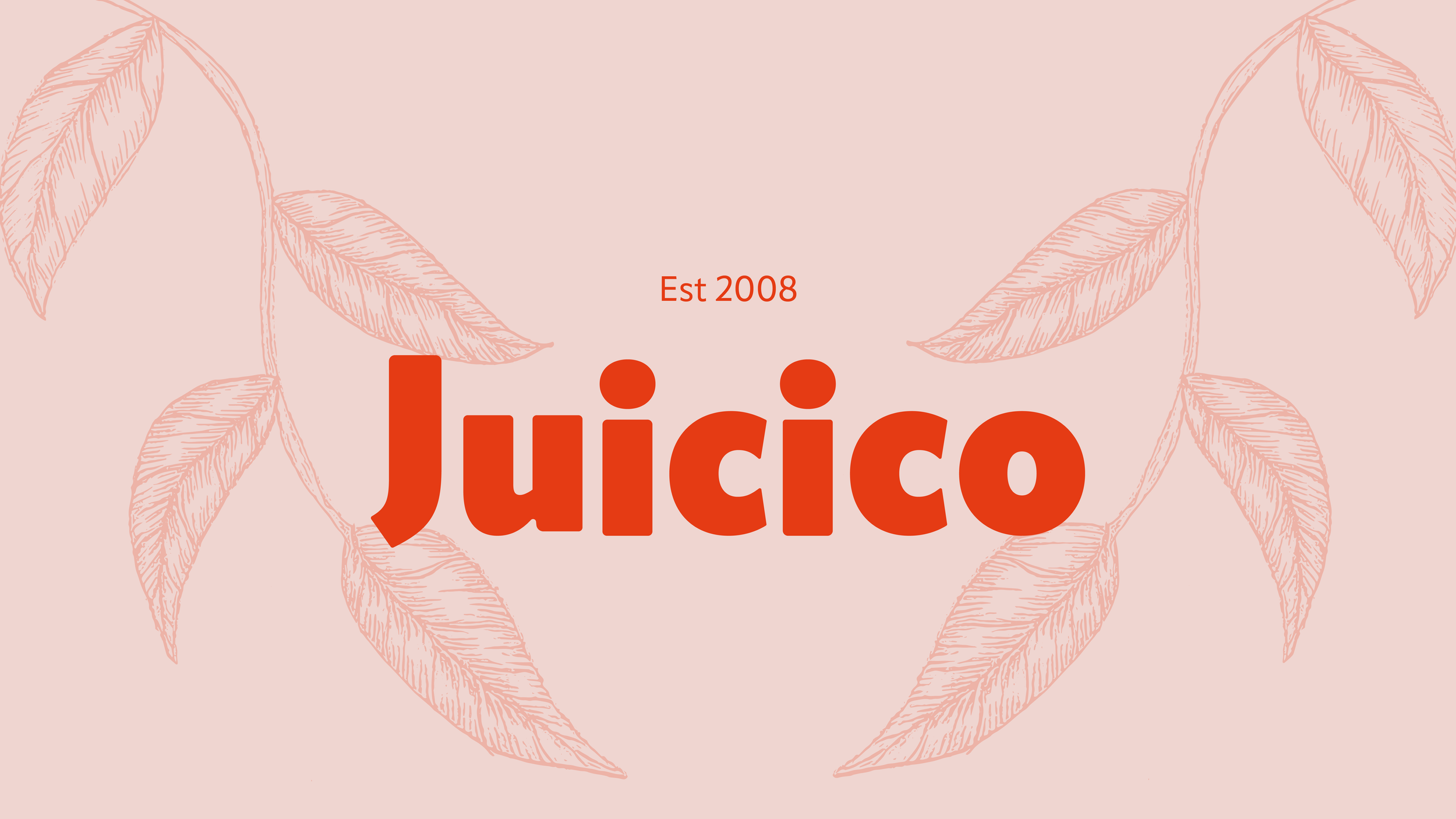 Juicico-nettside-01.png