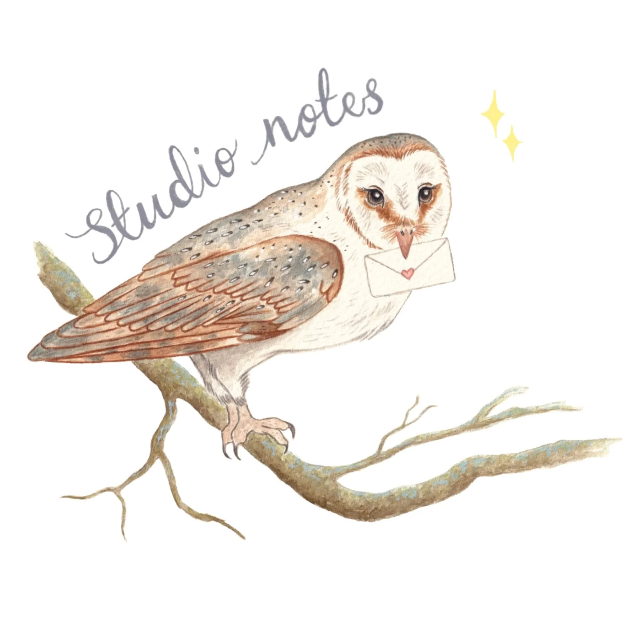 Amy James freelance artist newsletter. A Northamptonshire illustrator. A watercolour painting of a barn owl sitting on a branch with the text studio notes above.