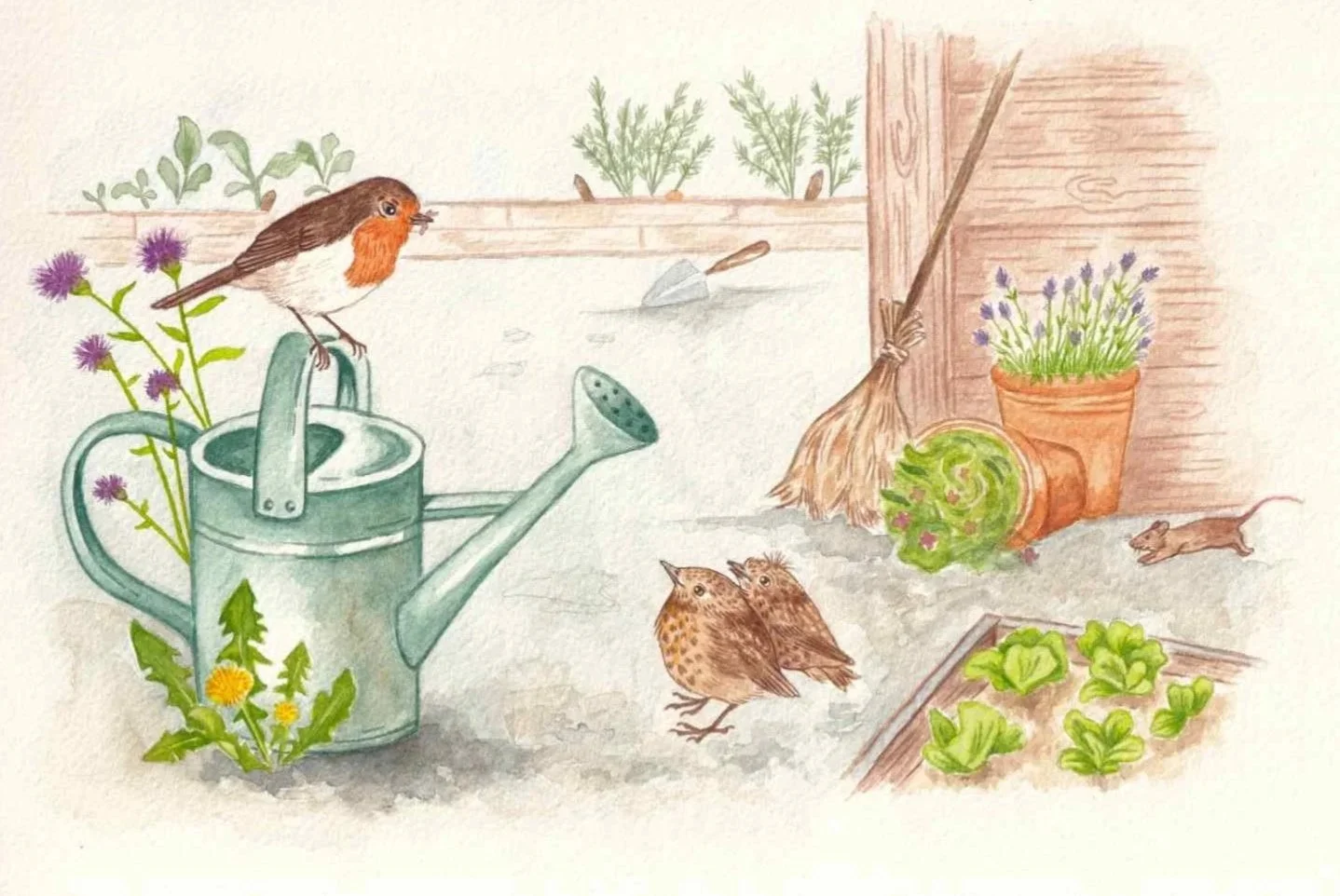 A children's picture book illustration of a robin and fledglings in a summer English garden. Whimsical, watercolour painting by artist Amy James. Based in Northamptonshire, UK.