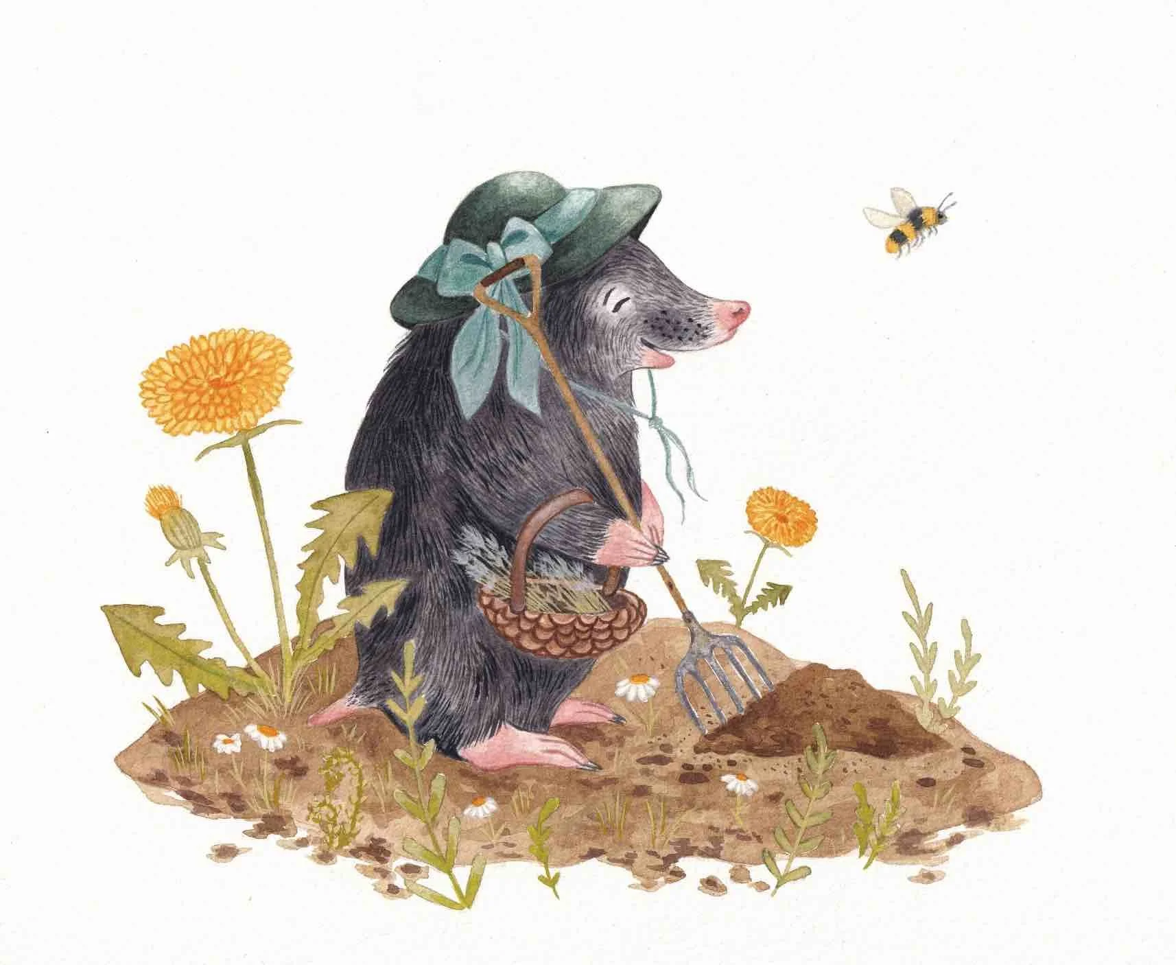 Children's picture book illustration of a happy gardening mole wearing a summer hat, surrounded by dandelion flowers and bees. Whimsical watercolour by Amy James. Artist based in Northamptonshire UK.