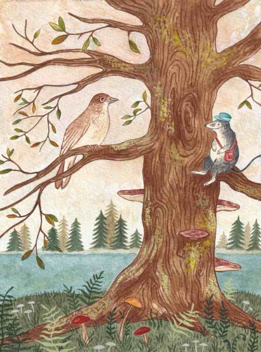 Children's picture book illustration of a shrew and bird talking up a tree by a river, surrounded by mushrooms and plants at dawn. A whimsical landscape watercolour by artist, illustrator, Amy James based in Northamptonshire. UK
