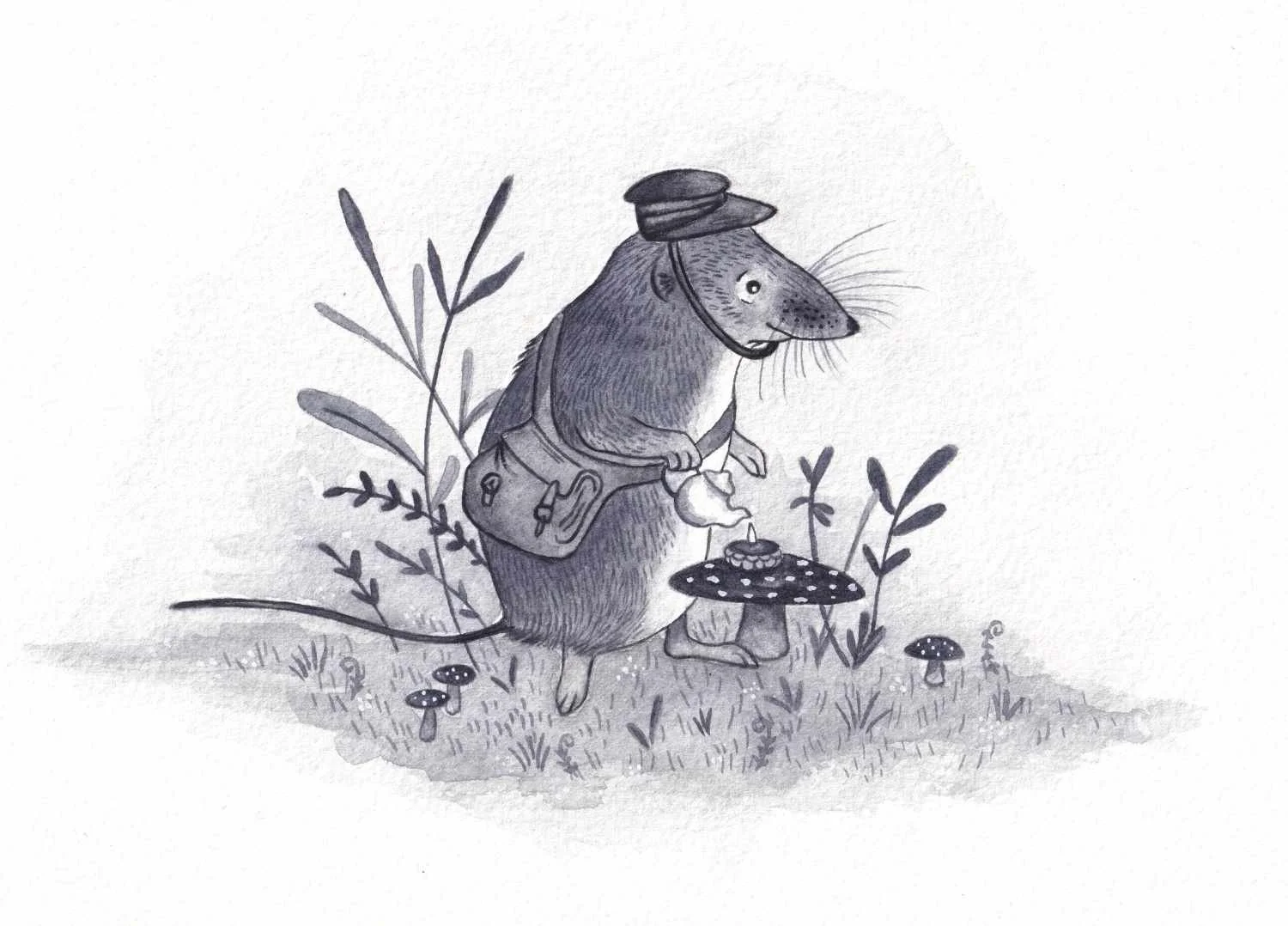 A black and white children's picture book illustration of a shrew pouring a cup of tea. Whimsical, cosy, watercolour painting by artist Amy James. Illustrator in Northamptonshire. UK. 