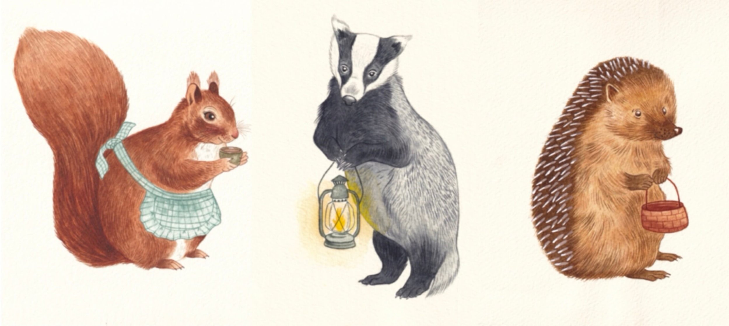 Cosy, whimsical, watercolour paintings of a red squirrel, European badger and a hedgehog by Amy James freelance artist based in Northamptonshire.