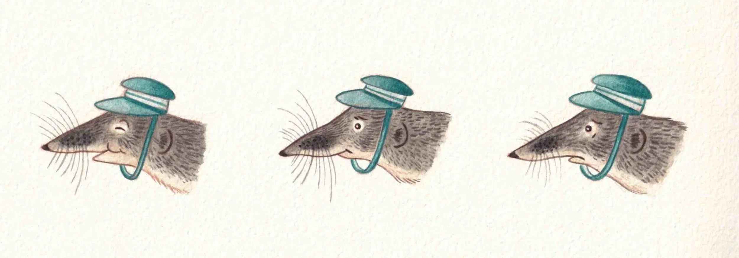 Children's picture book illustrations of a shrew wearing a hat. Showing expressions and emotions. Character, profile, portrait studies. Watercolour paintings by Amy James, artist based in Northamptonshire, UK. 