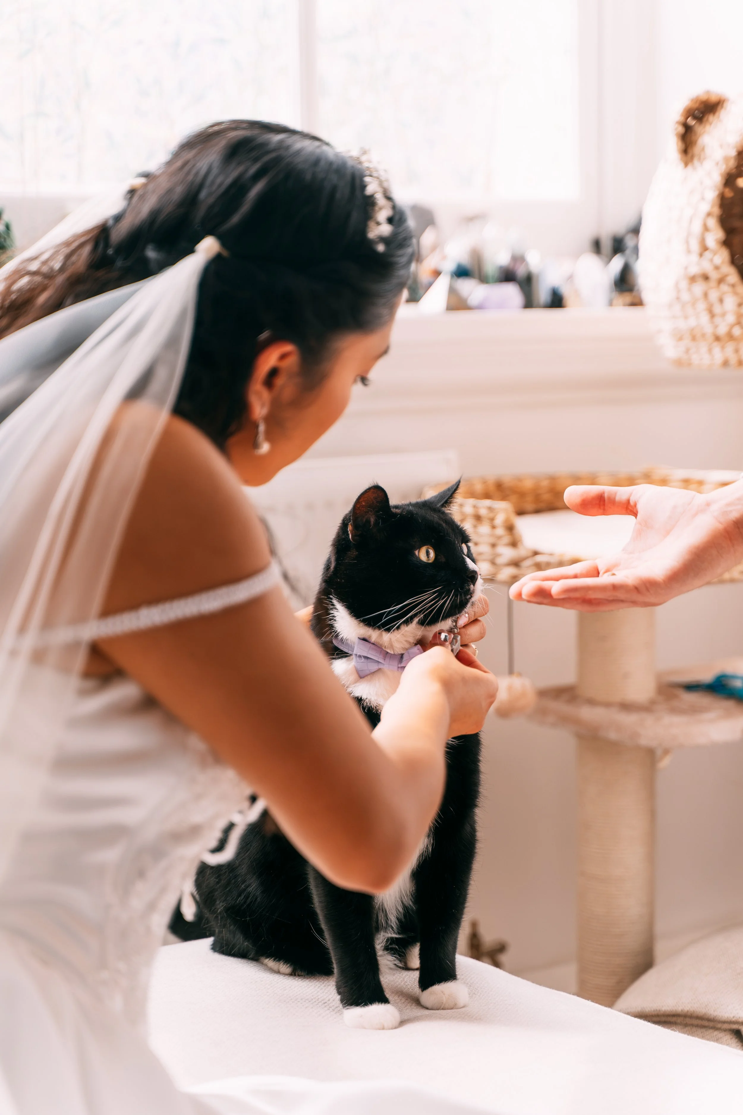 Stacey-Marco-Wedding-2.jpg