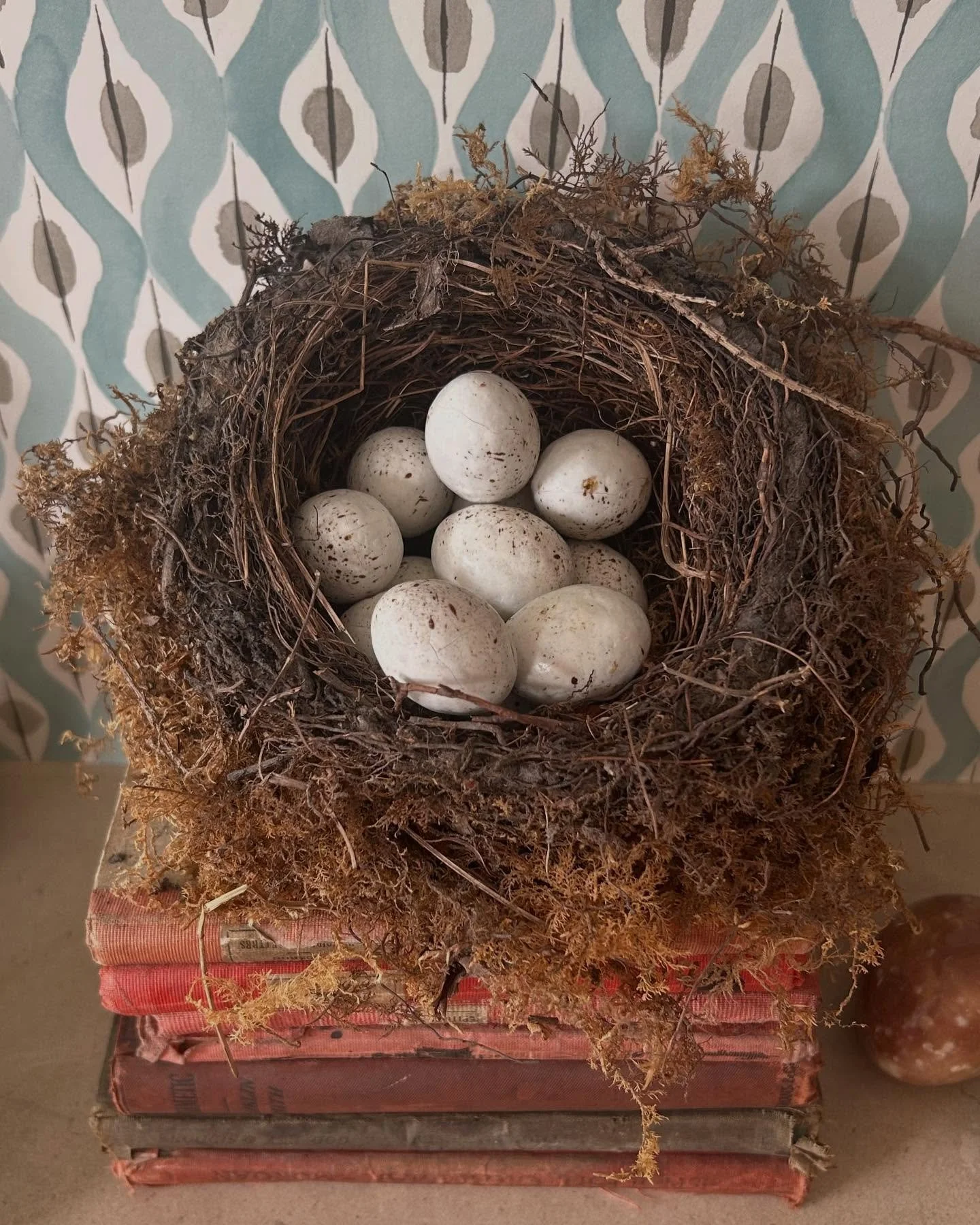 Happy Easter Sunday 🐣