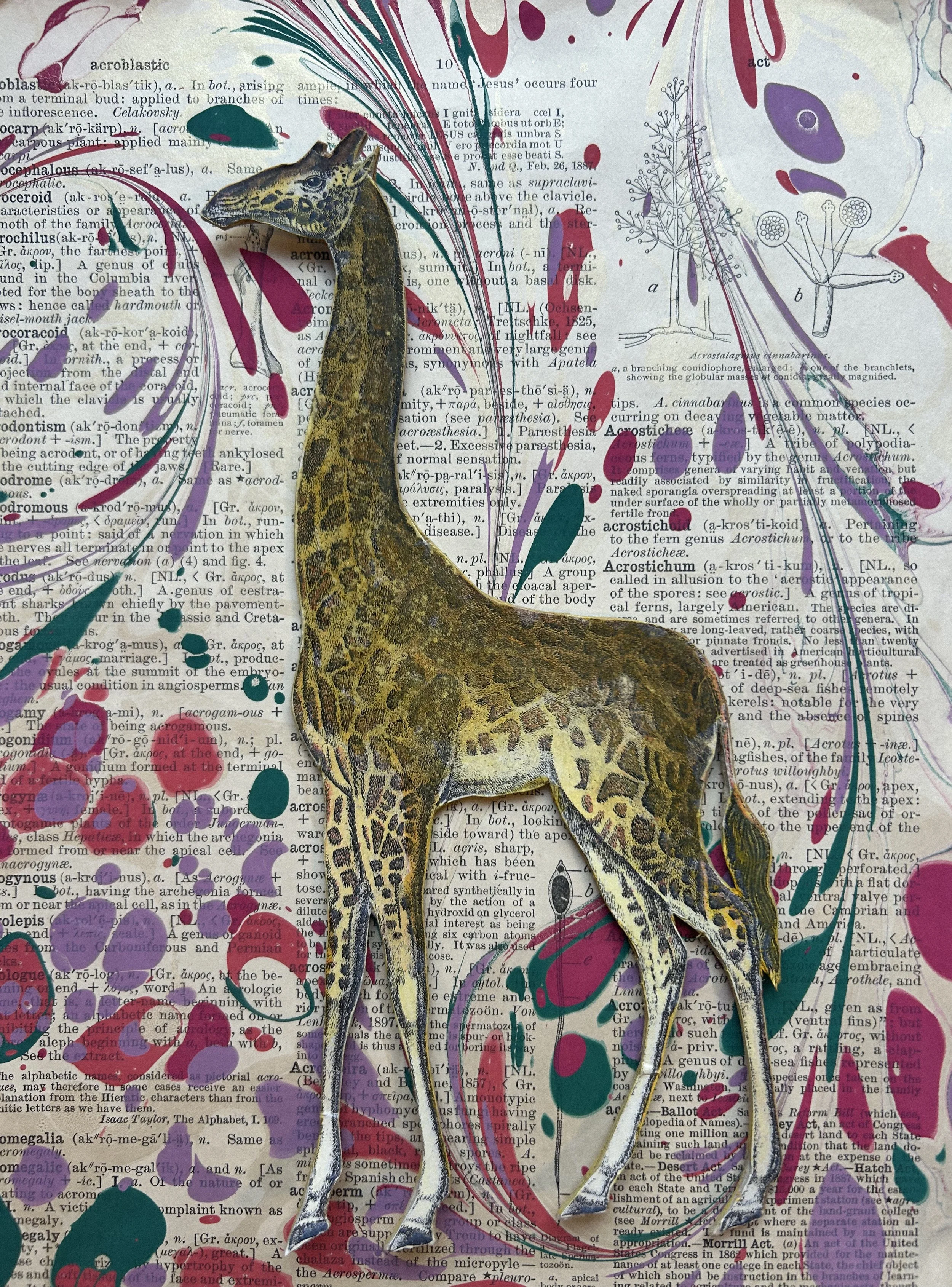 A mixed media artwork featuring a detailed cutout of a giraffe on top of a background of a dictionary page with colorful paint splatters and floral illustrations.
