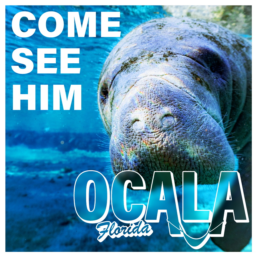 Artboard 7 copy 2@3x.png