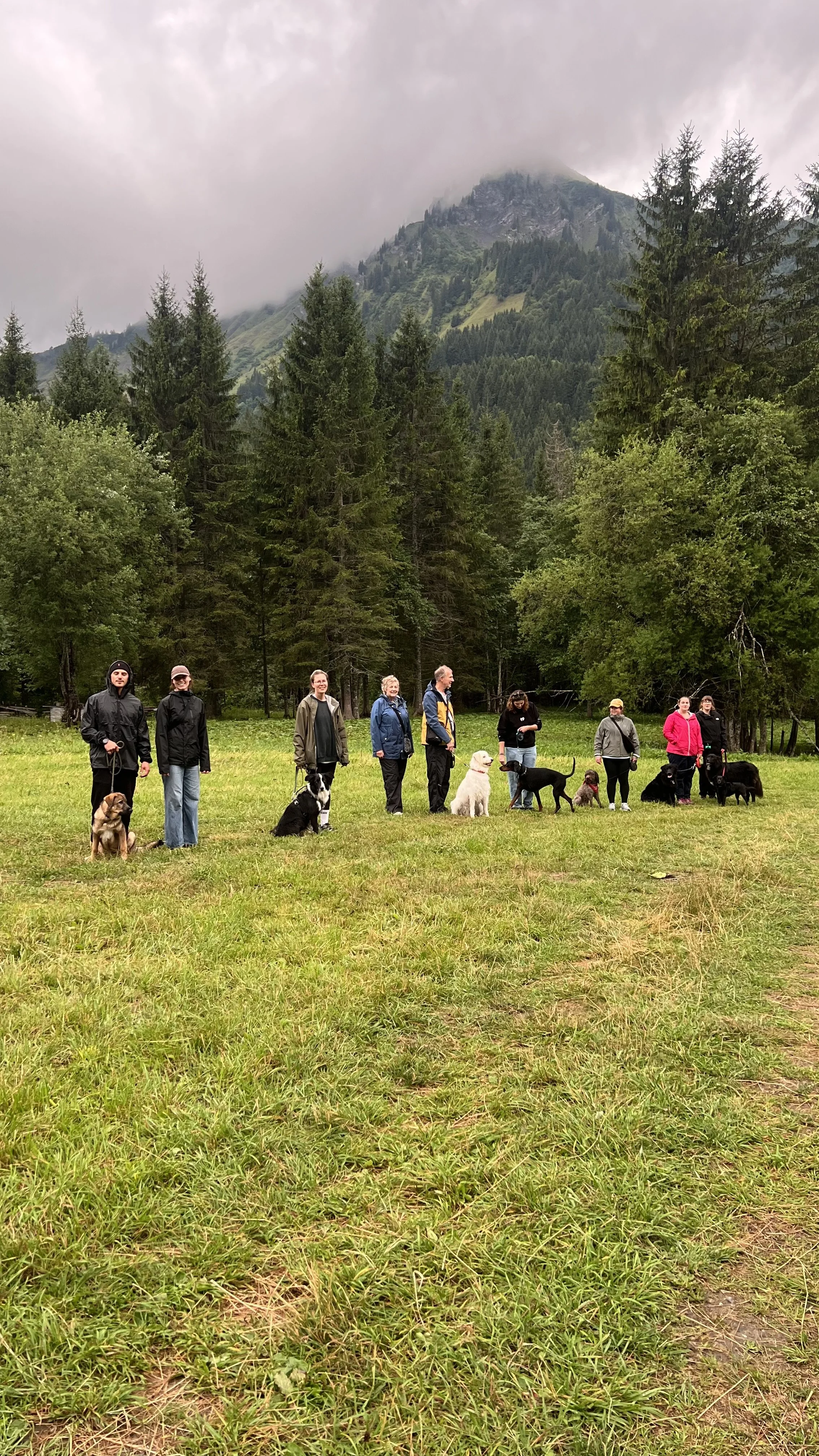Group of people with dogs standing in a line in a grassy field surrounded by trees and mountains in the background.