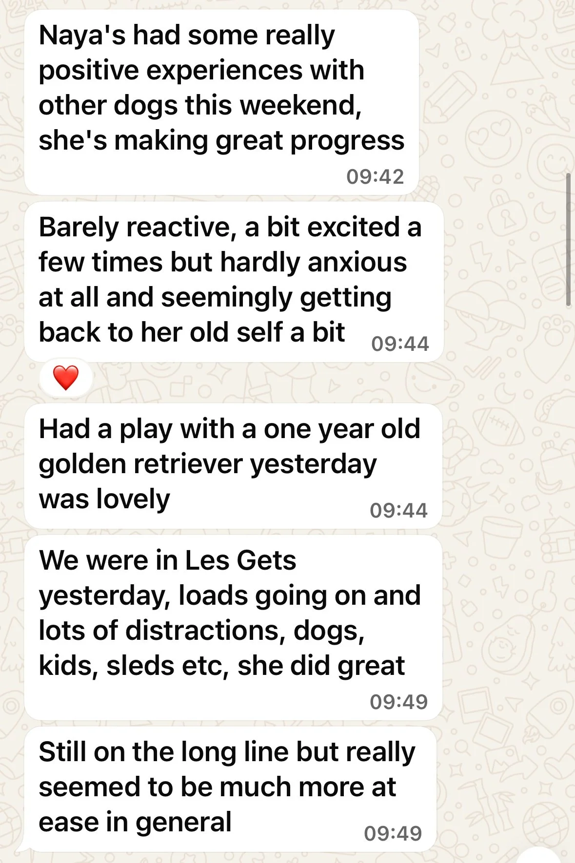 Screenshot of a group chat discussing positive experiences with dogs, including a play session with a one-year-old golden retriever at Les Gets.