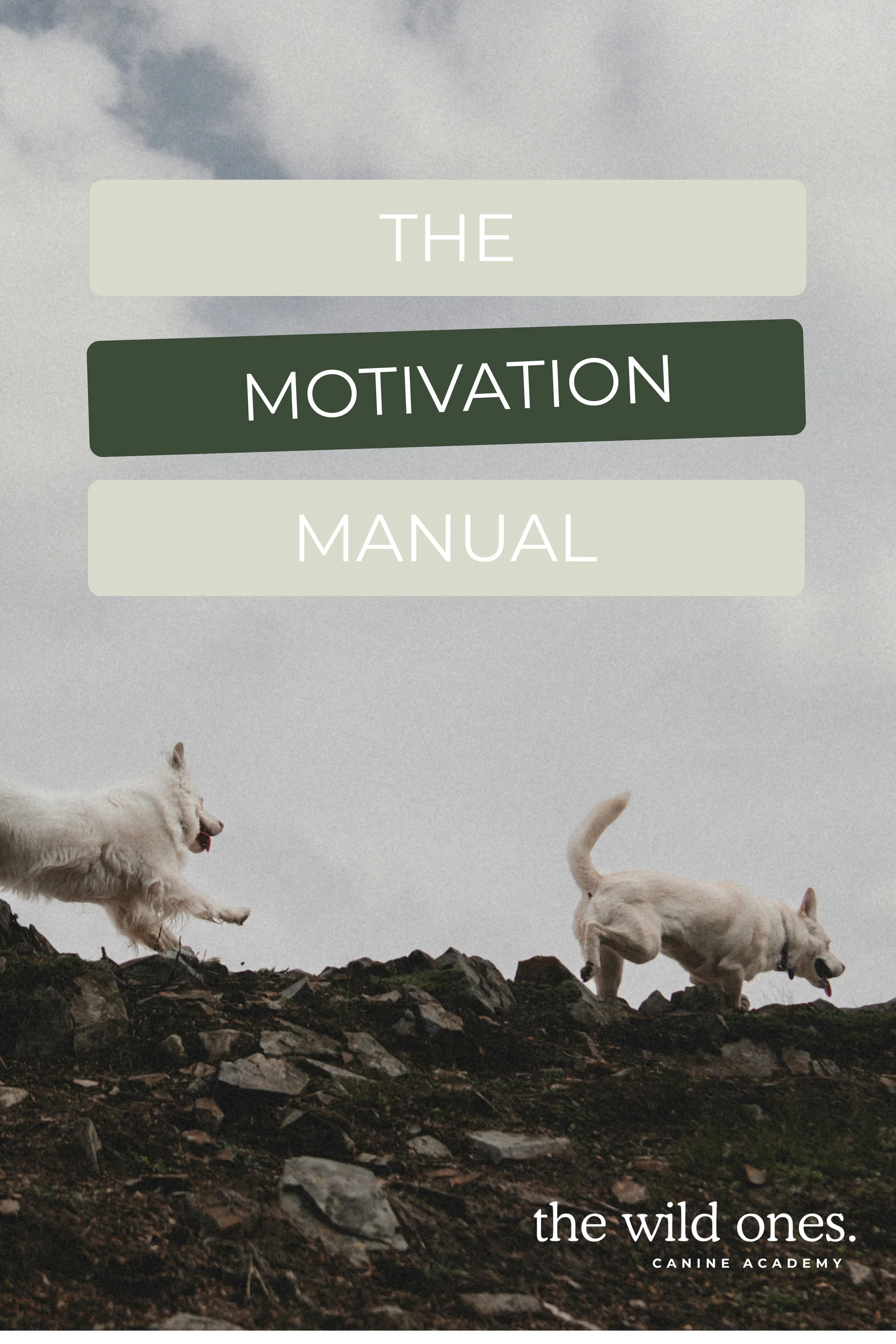FREE Motivation Manual