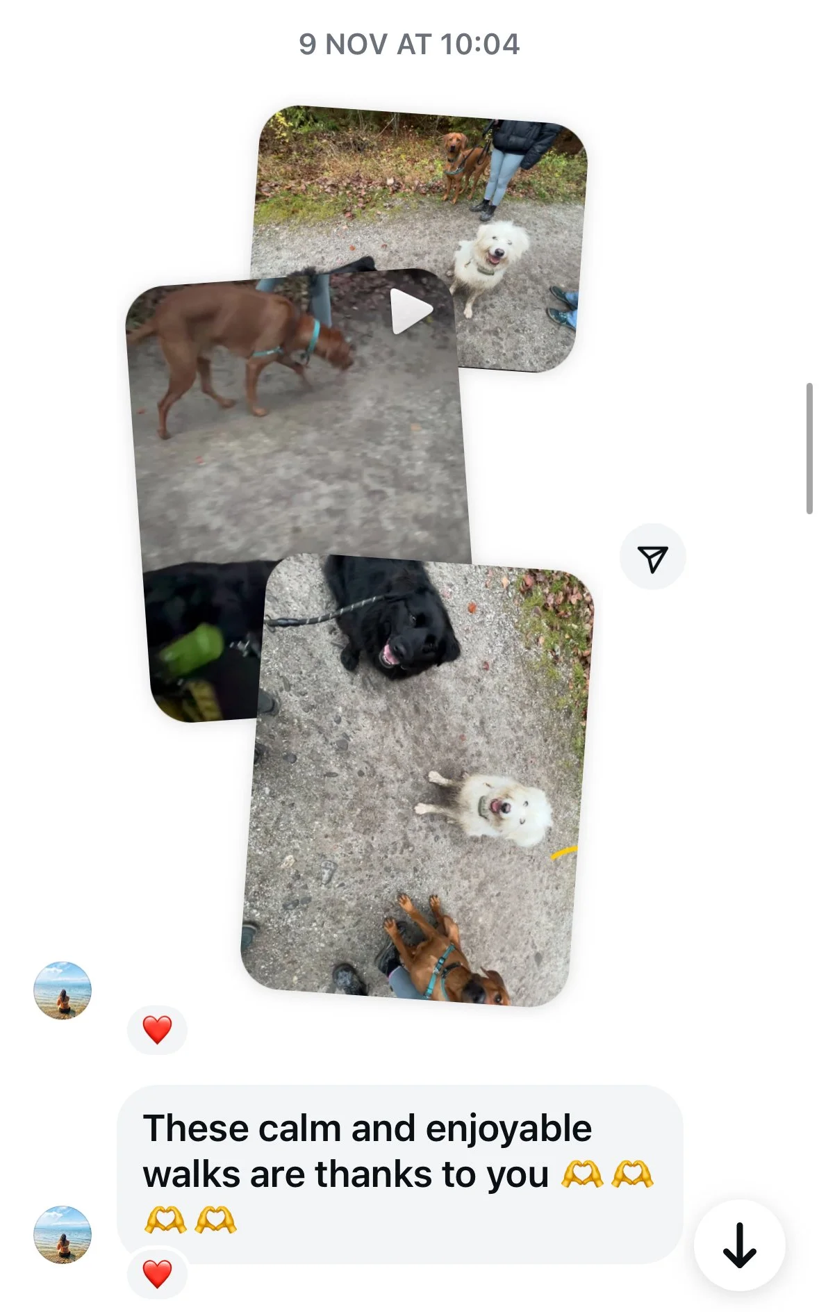Screenshots of a messaging conversation with three photos of dogs on a walk, showing a white fluffy dog, a brown dog, and a black dog, on a path outdoors, accompanied by a message thanking the recipient for the enjoyable walk.