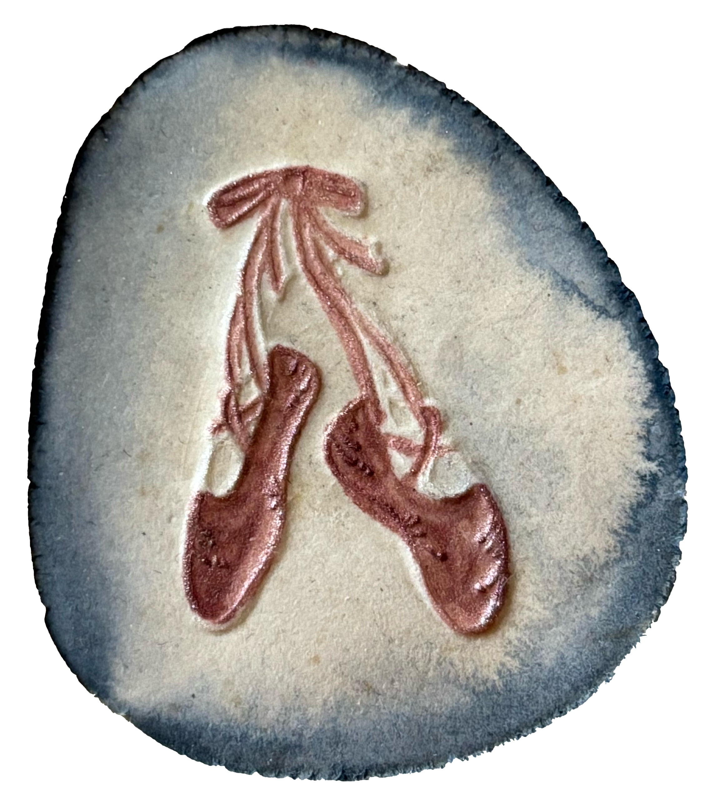 Cross-section of a tooth displaying nerve and blood vessel structures inside.
