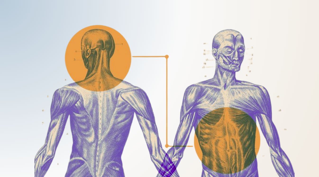 Gut Feelings Are Real: The Gut-Brain Connection Explained