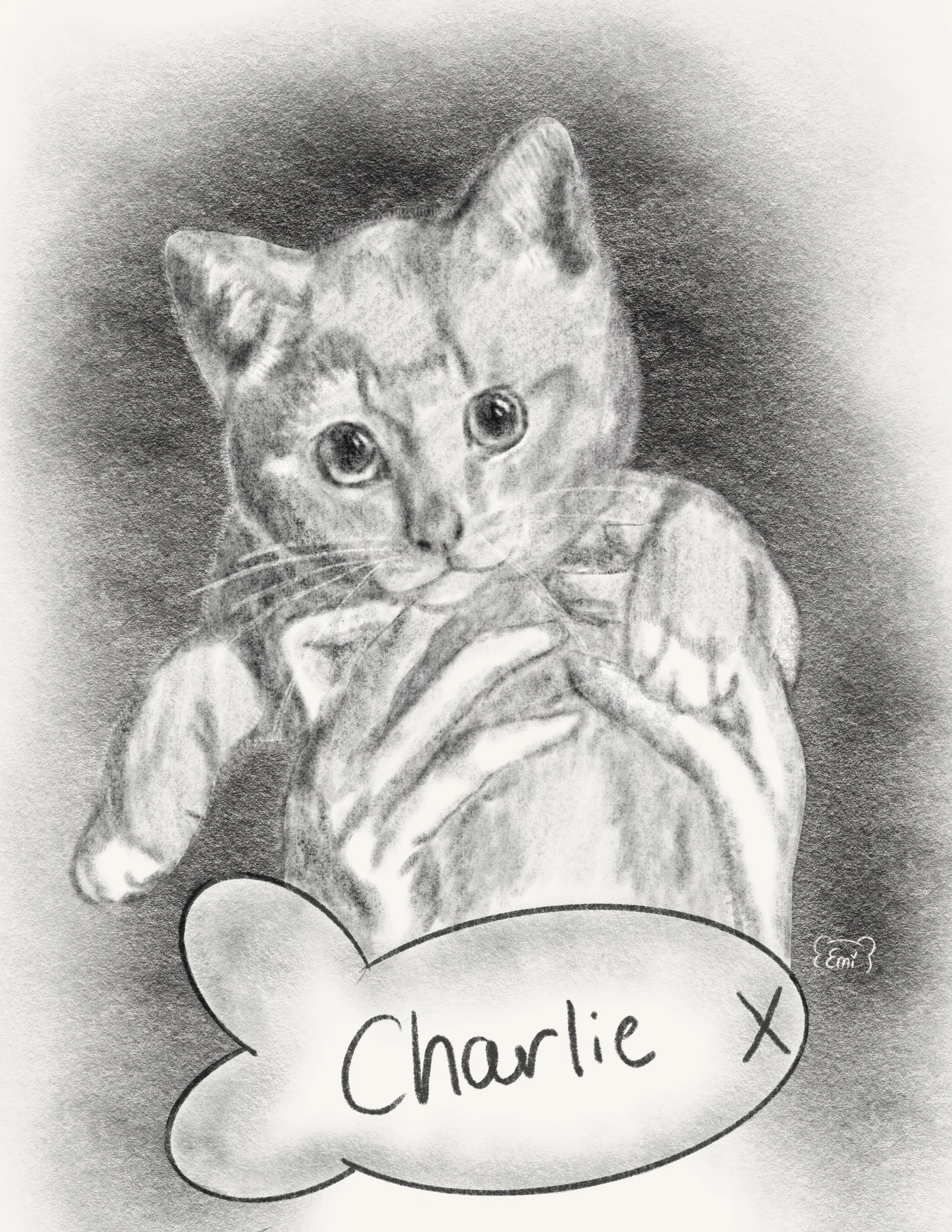 Cat Portrait Commission, Procreate