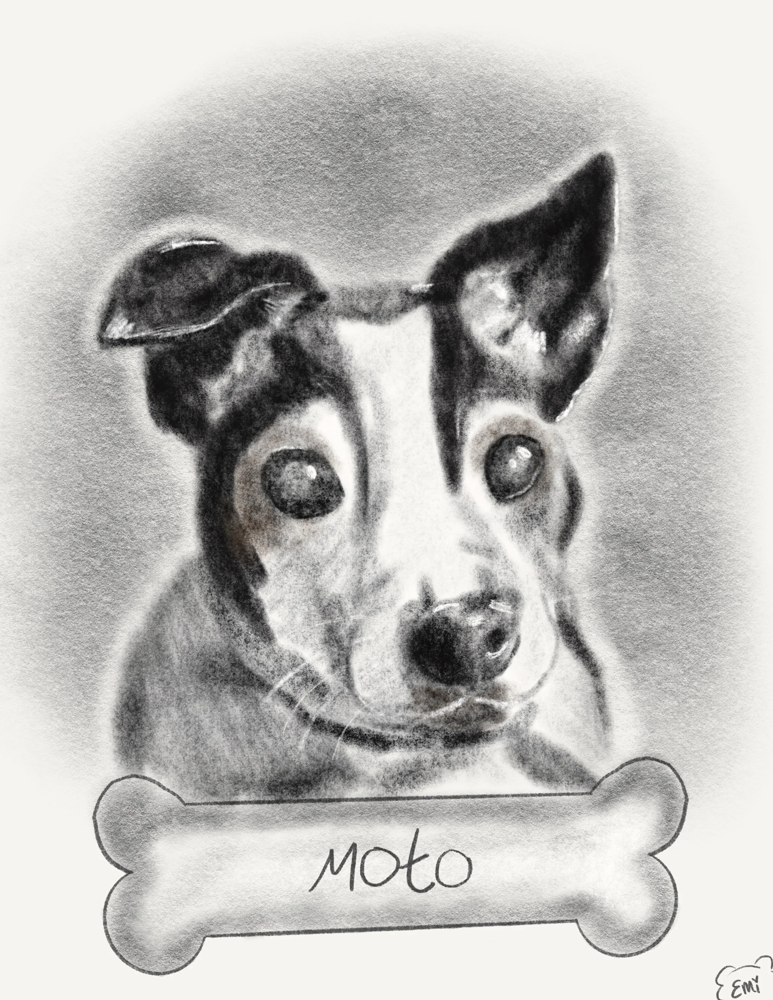 Dog Portrait, Procreate