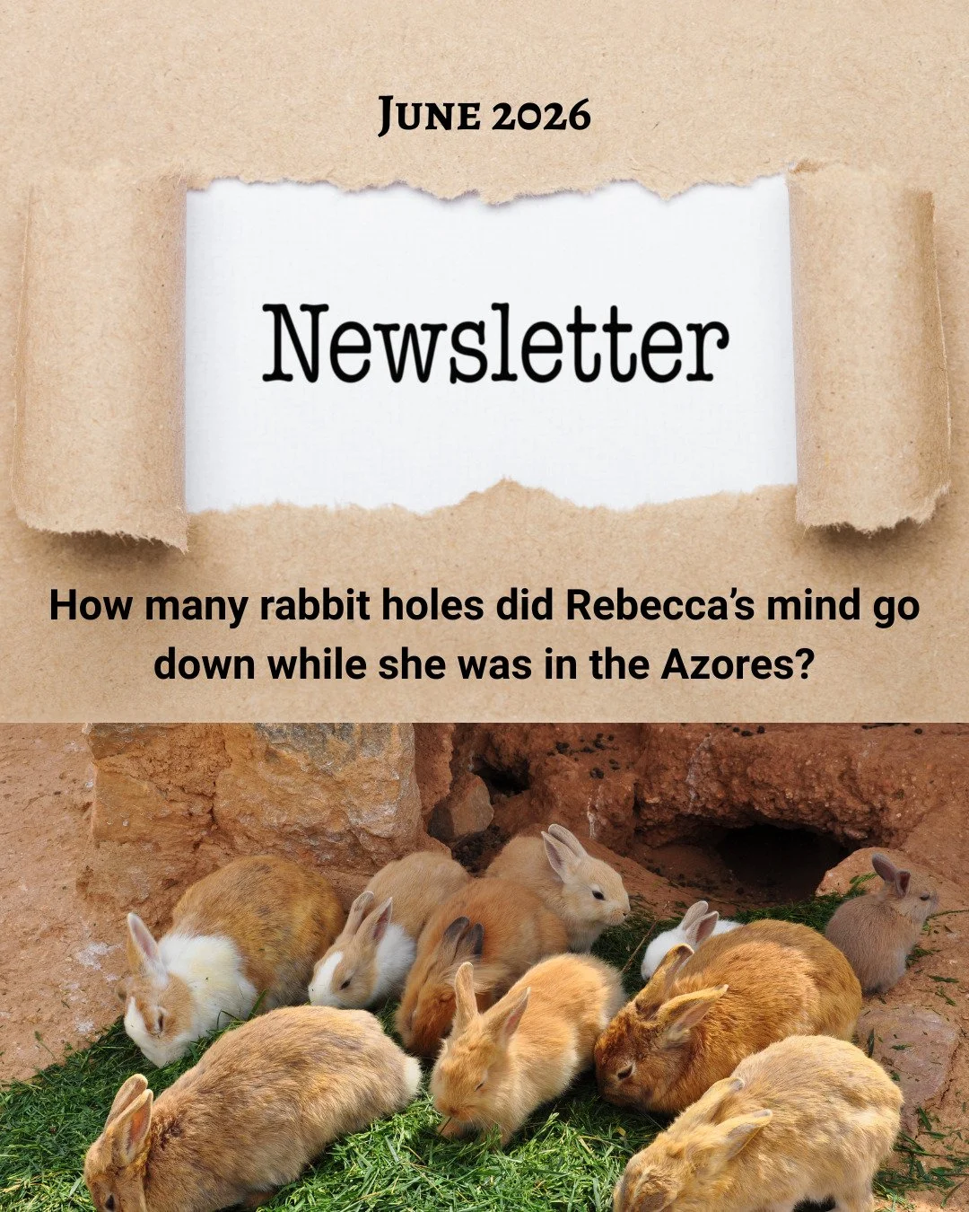 You can find the answer in this month's newsletter. What's that, you say? You DON'T receive our newsletter? Quick (like a bunny) hop over to the Contact Us page on the ThreeWidows.com website and sign up for your very own copy!