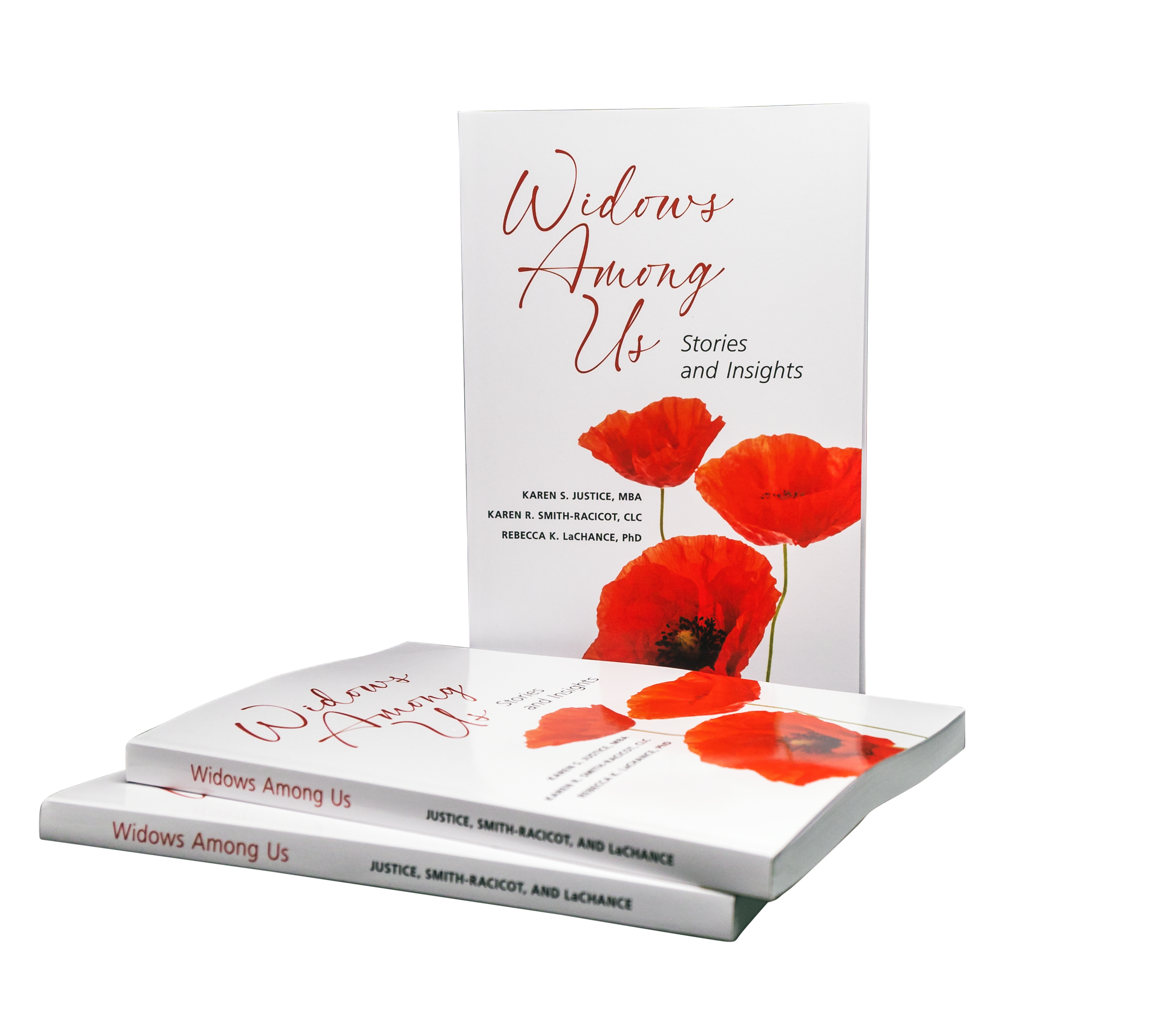 Widows Among Us - Large Print Edition