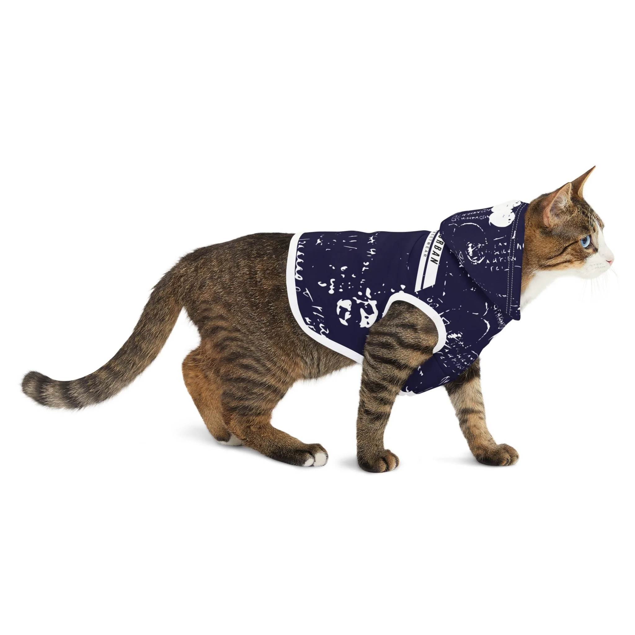 00bc62b588ec6b8c253bc42dd159dbbe