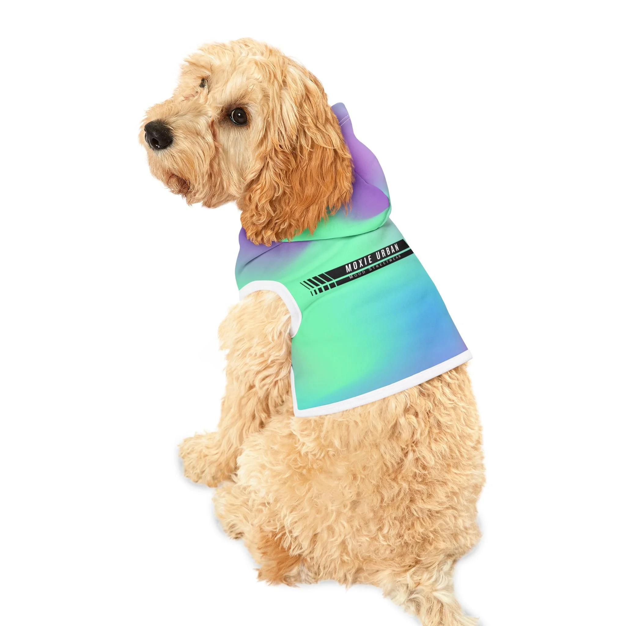 f46b7e7aec485c9783bb54b2df33b52d