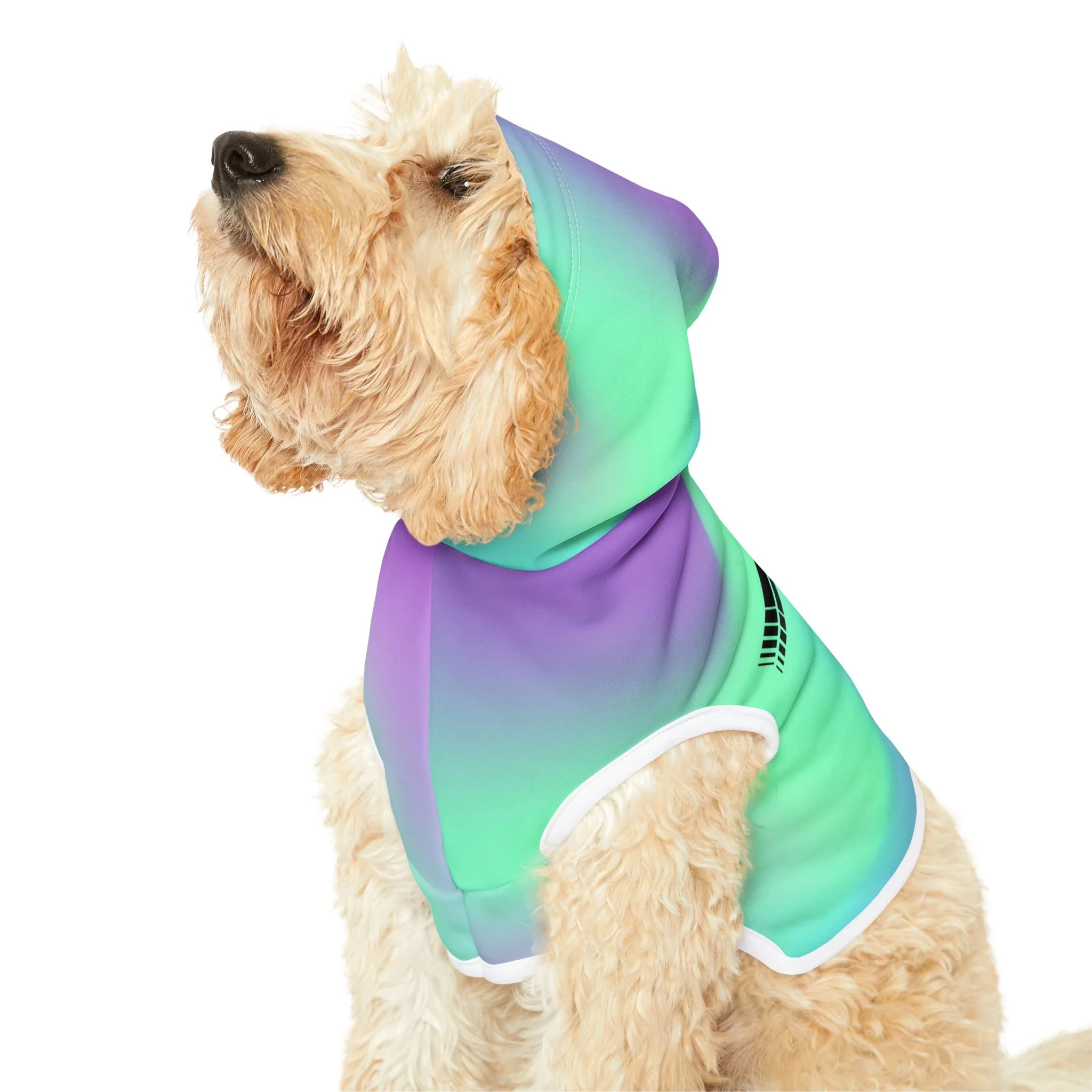 7eb0d4b4f099621f8025524368e6f25e