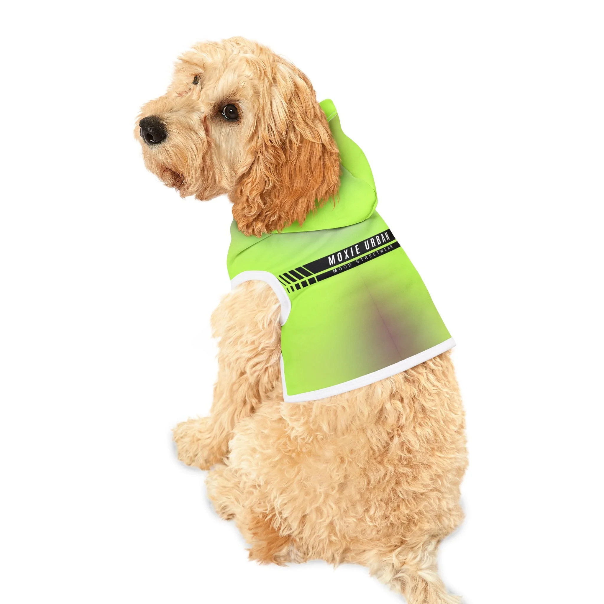 41557591c18677d96b2dfd2502f229ab