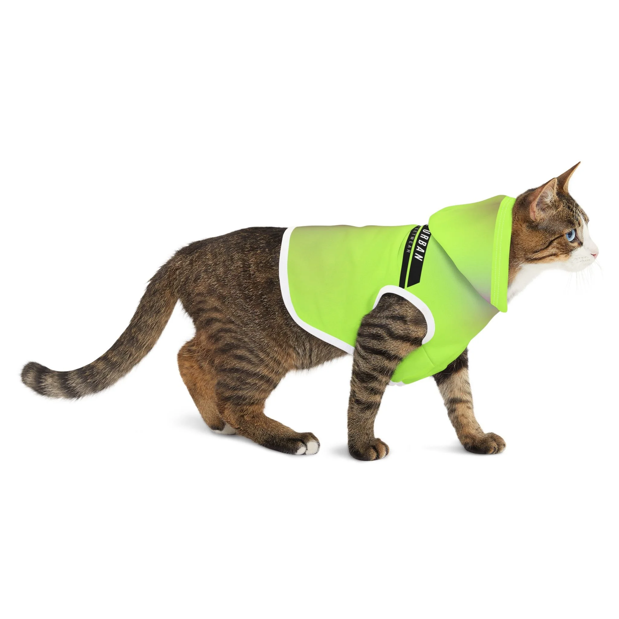 01e38a688031e9c27081f98ac35c1a39