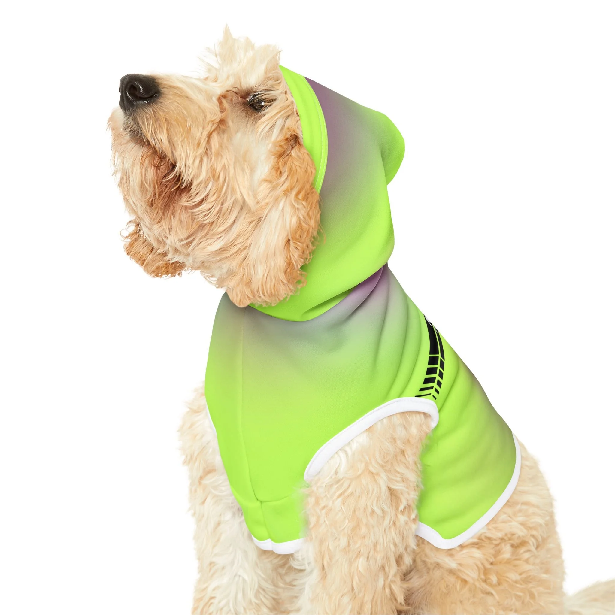 71e44518d7b8cfce8a876342a80e526a