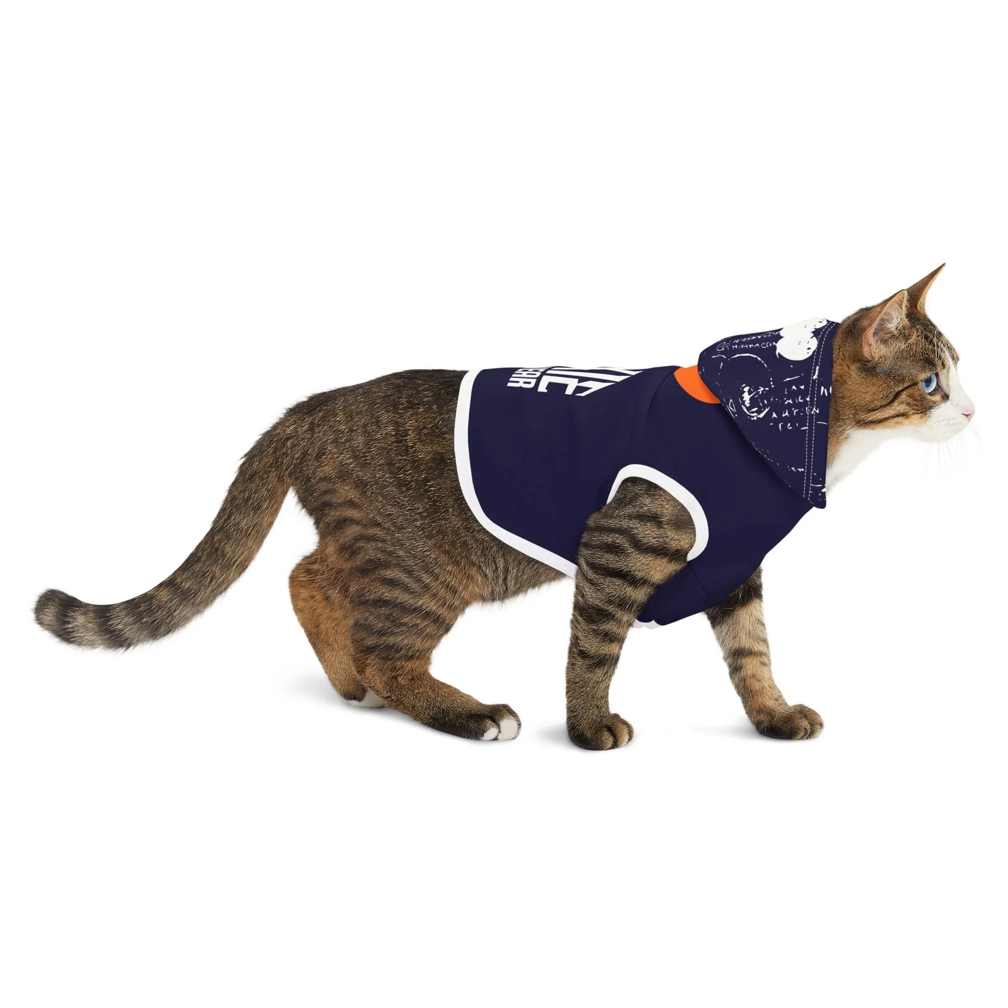 00bc62b588ec6b8c253bc42dd159dbbe