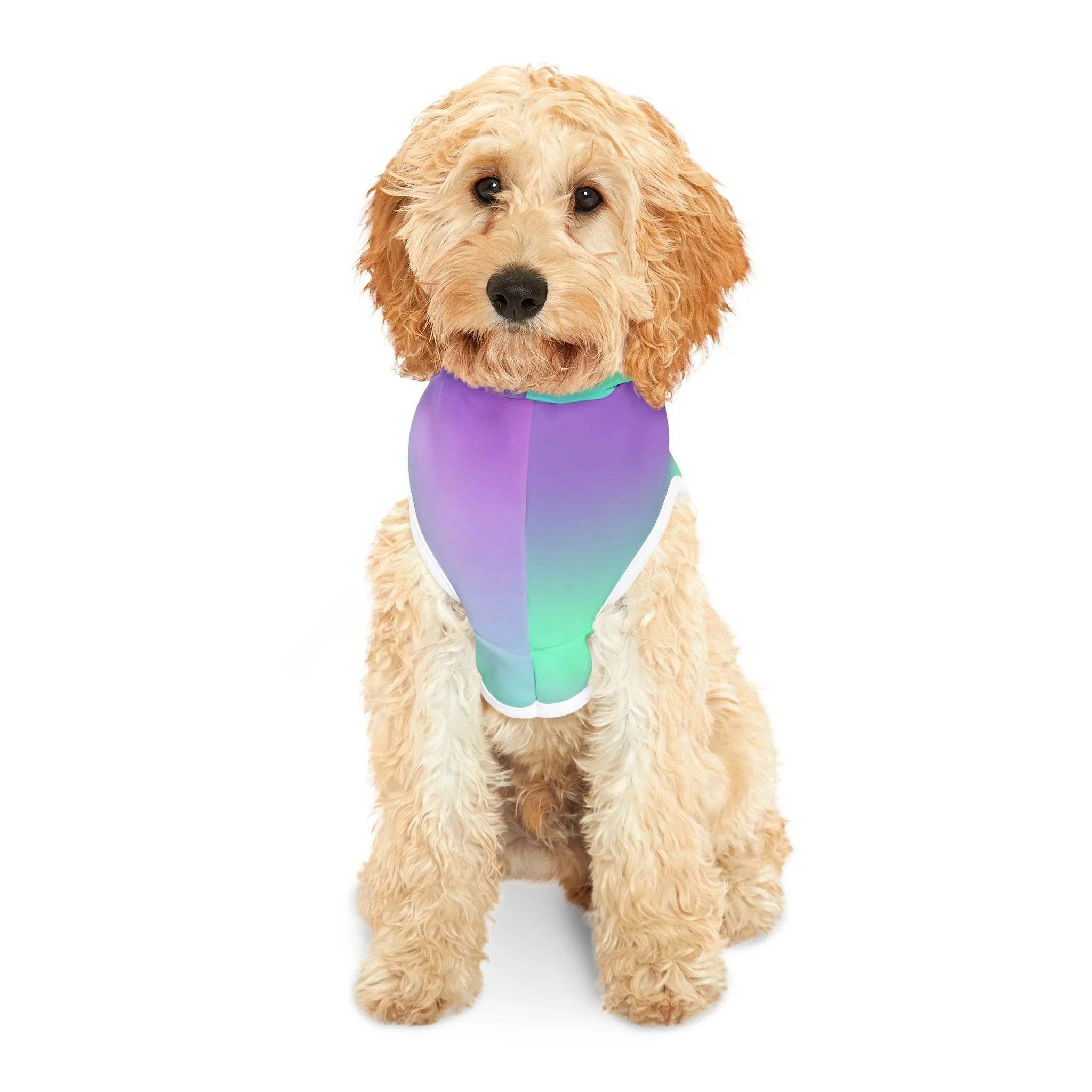 a1eaf6447bb27b97b77e4bf643f2fa69